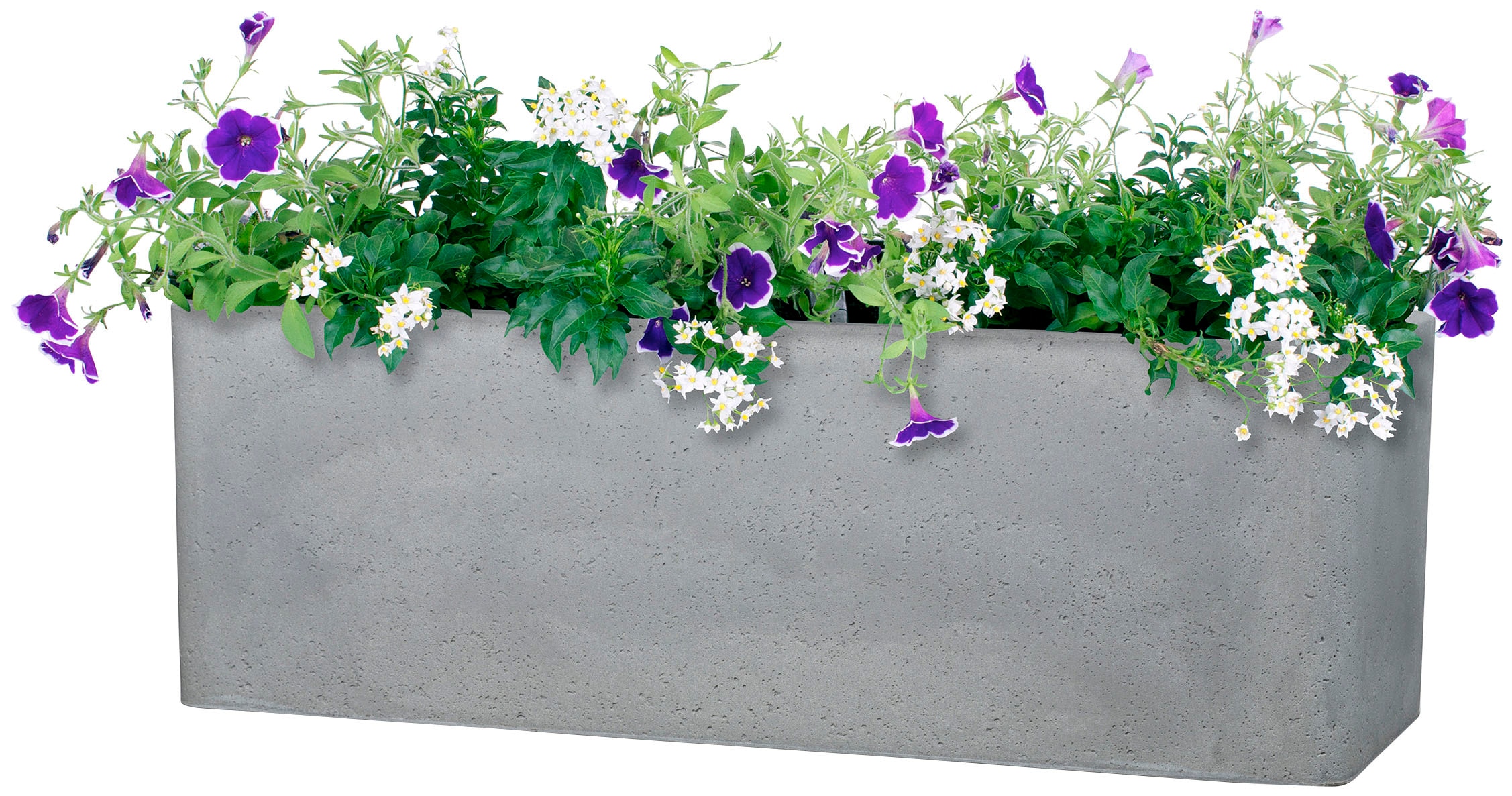 Scheurich Blumentopf »80/140 ALEA BOX«