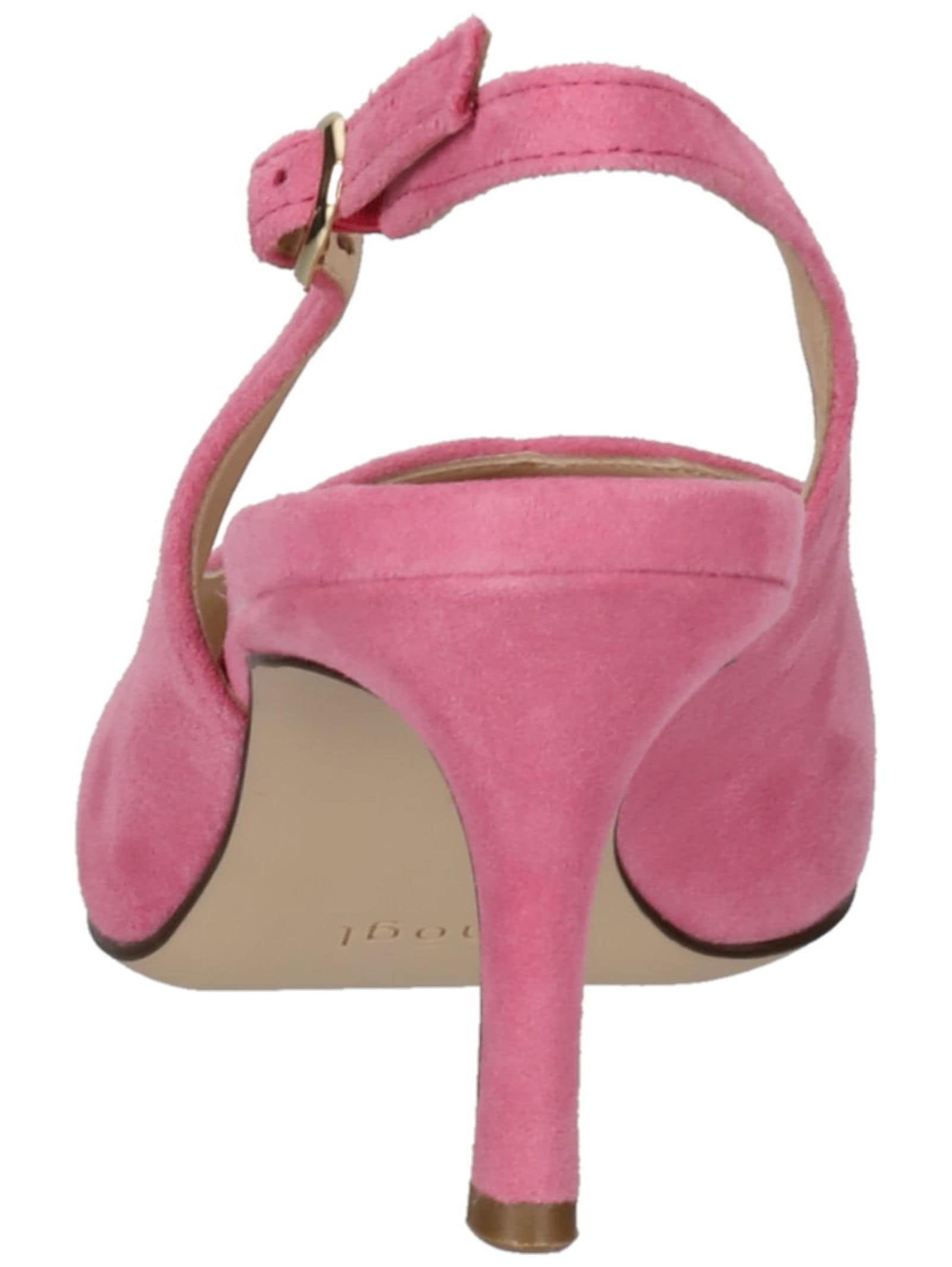 Högl Pumps »Högl Pumps Veloursleder«