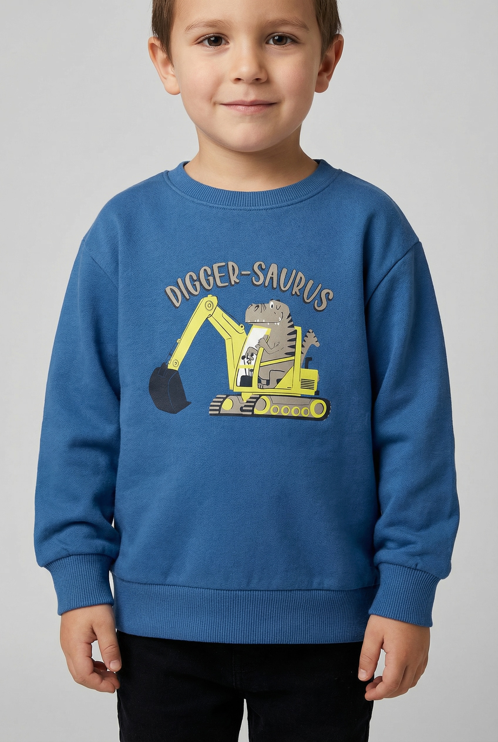 Name It Sweatshirt "NMMVILDAR LS NREG SWEAT UNB"