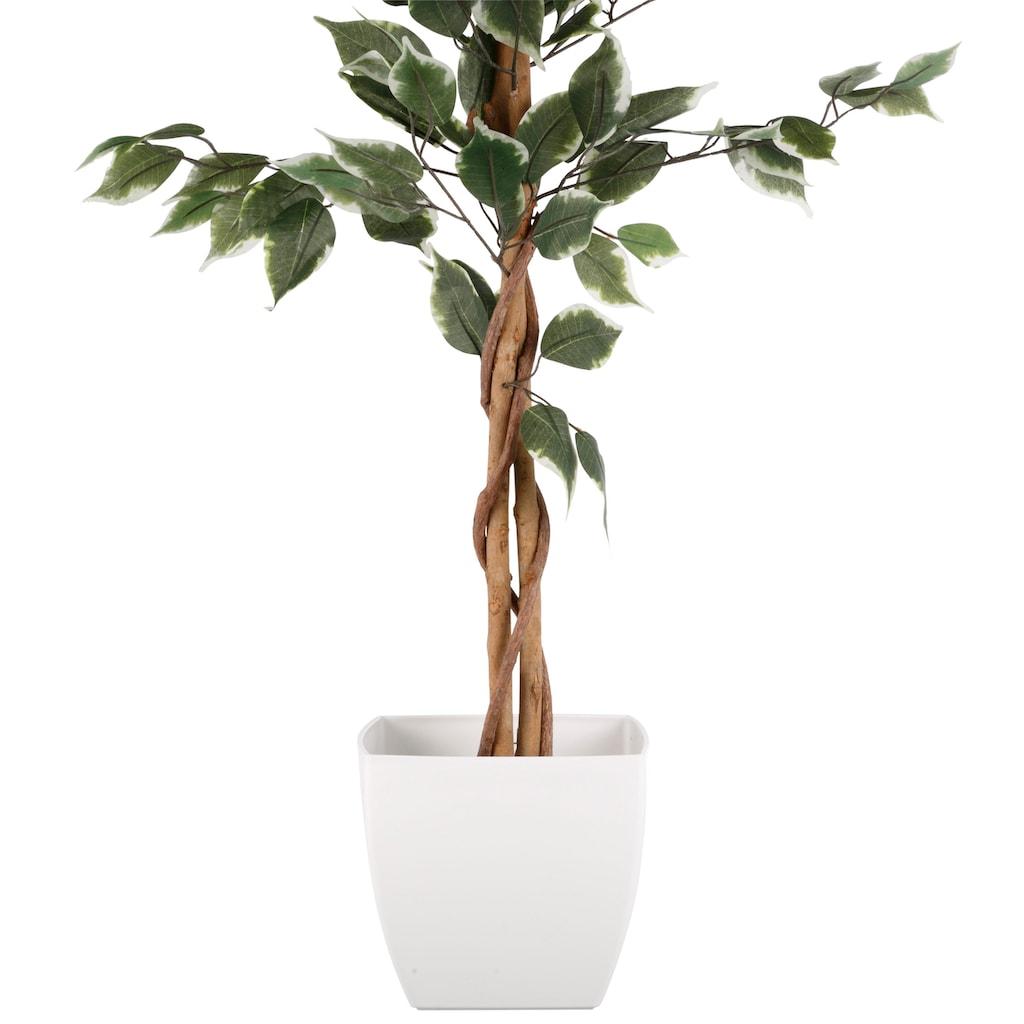 Creativ green Kunstpflanze »Ficus Benjamini«