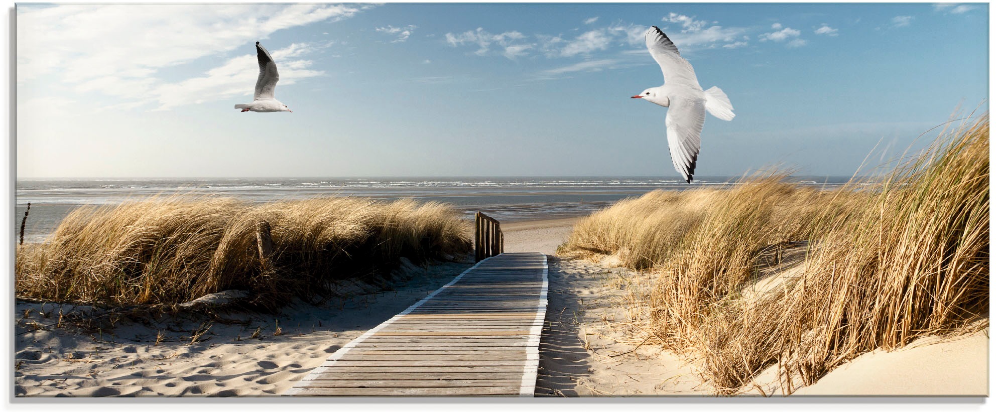 Artland Glasbild "Nordseestrand auf Langeoog mit Möwen" Strand 1 Stk. tlg. günstig online kaufen