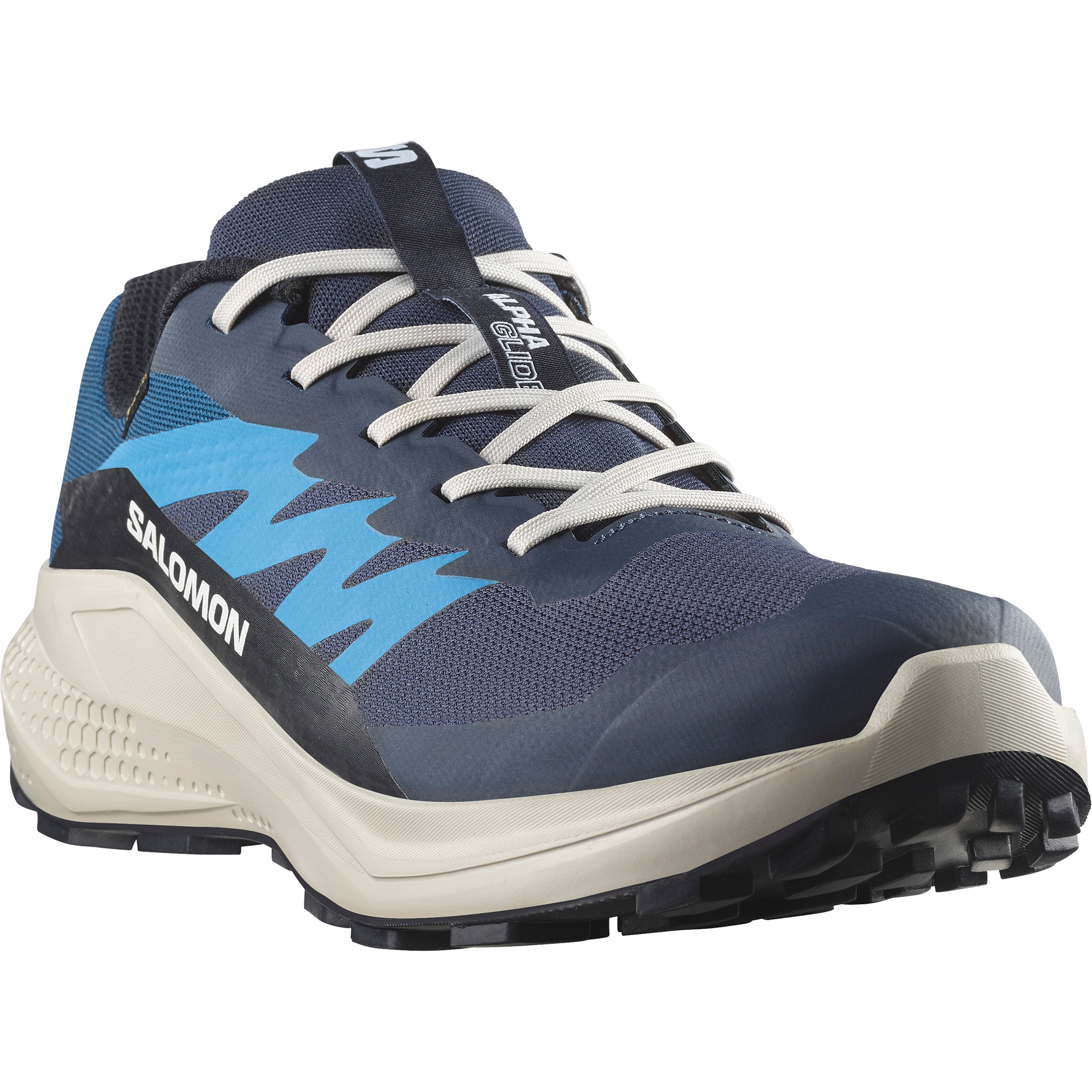 Salomon Laufschuh "ALPHAGLIDE GORE-TEX", wasserdicht günstig online kaufen