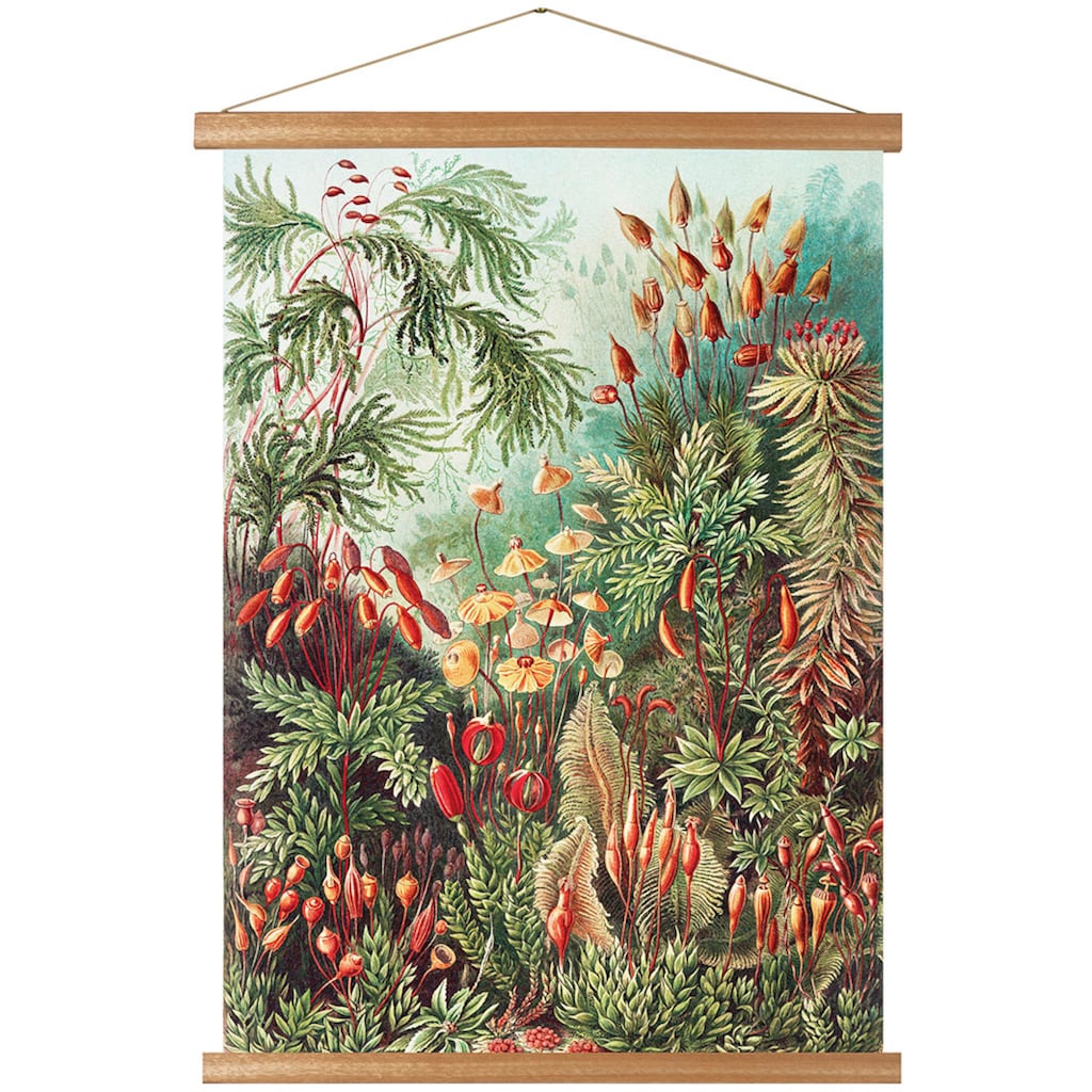 Art for the home Poster »Wald«, (1 St.)