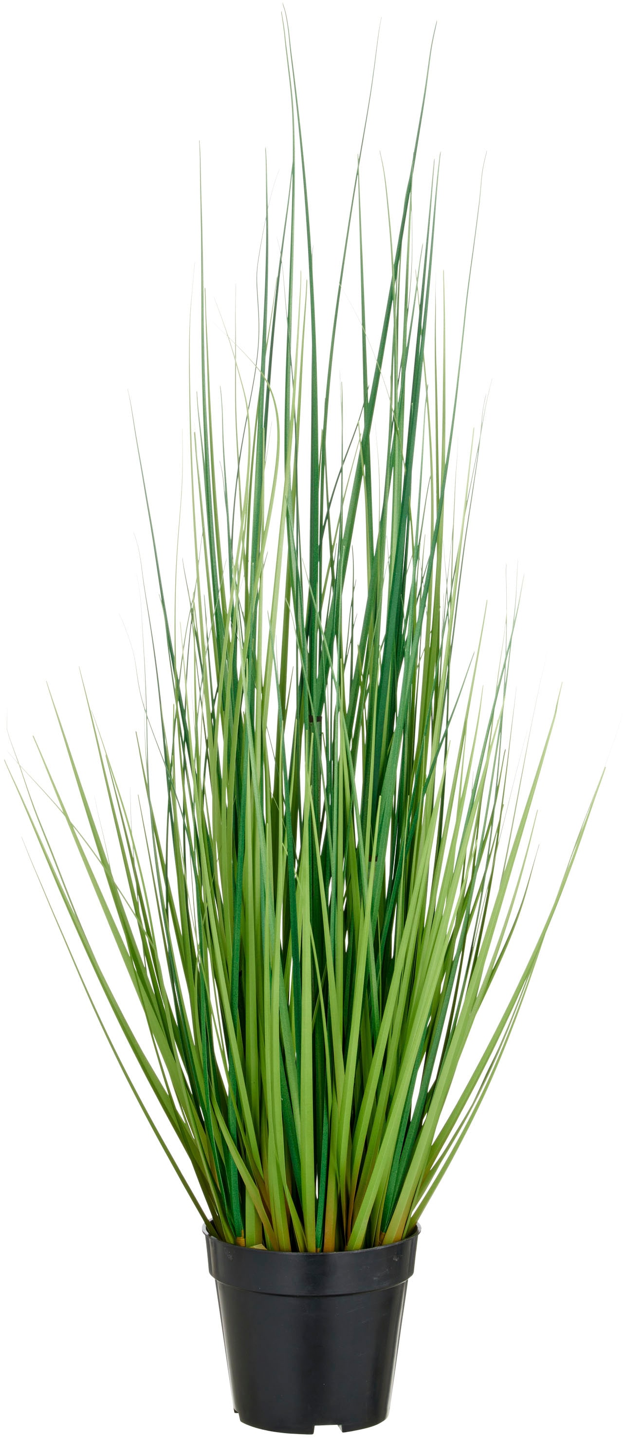 Creativ green Kunstgras "Grasbusch Miscanthus", mit naturgetreuen Grashalme günstig online kaufen