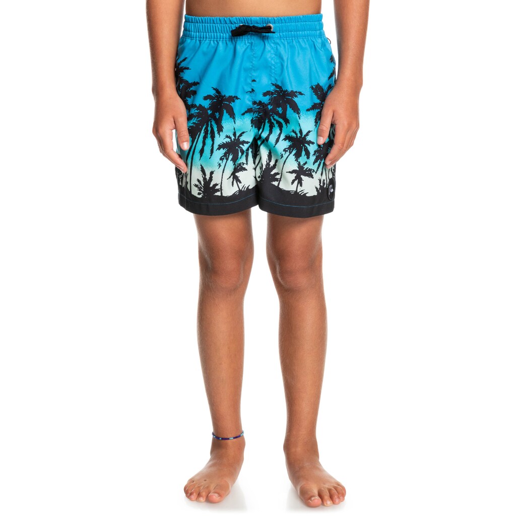 Quiksilver Boardshorts »Everyday Paradise 14"«