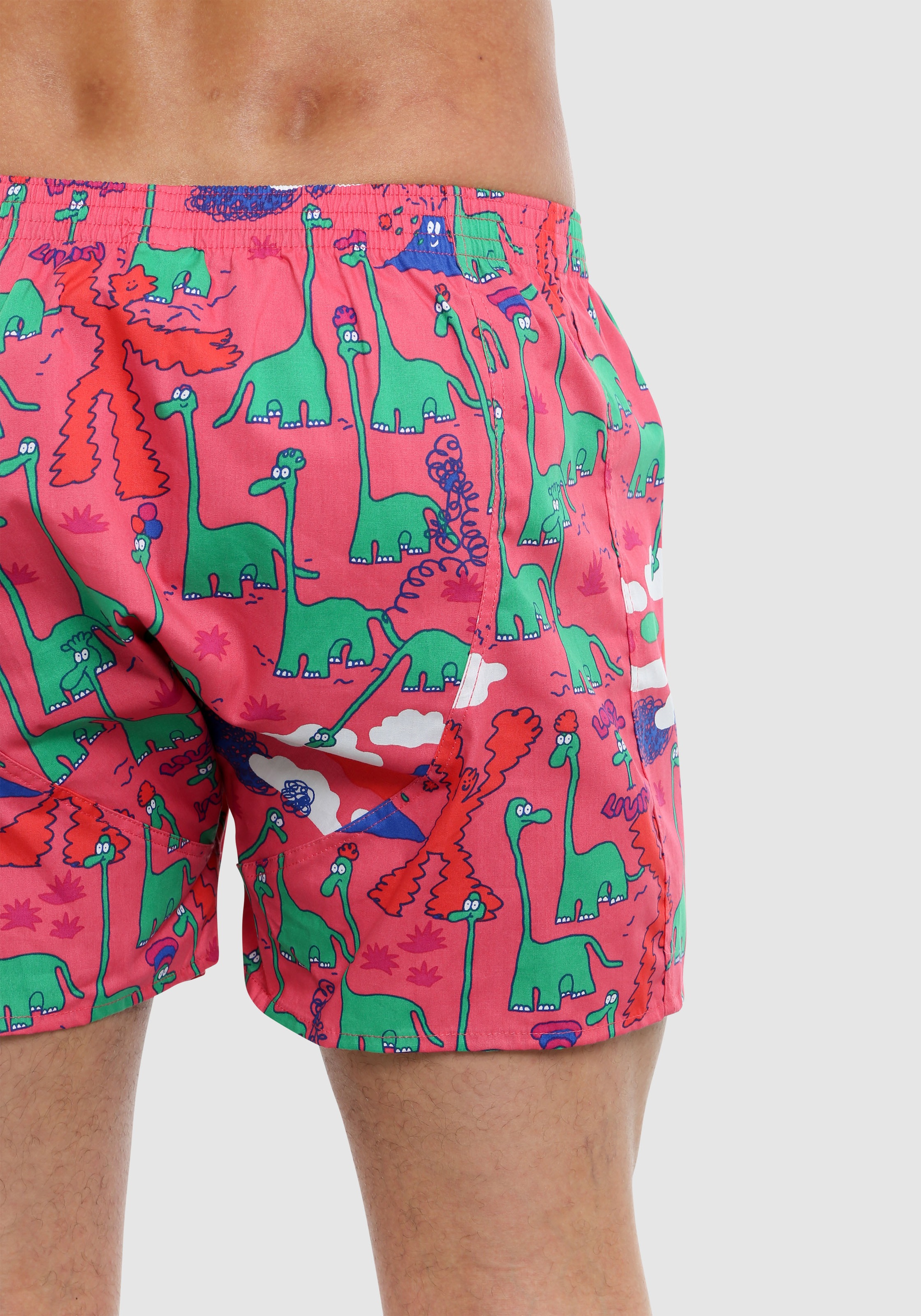 Lousy Livin Boxershorts »Dinos 2Pack«, (2 St.), im praktischen 2er-Pack