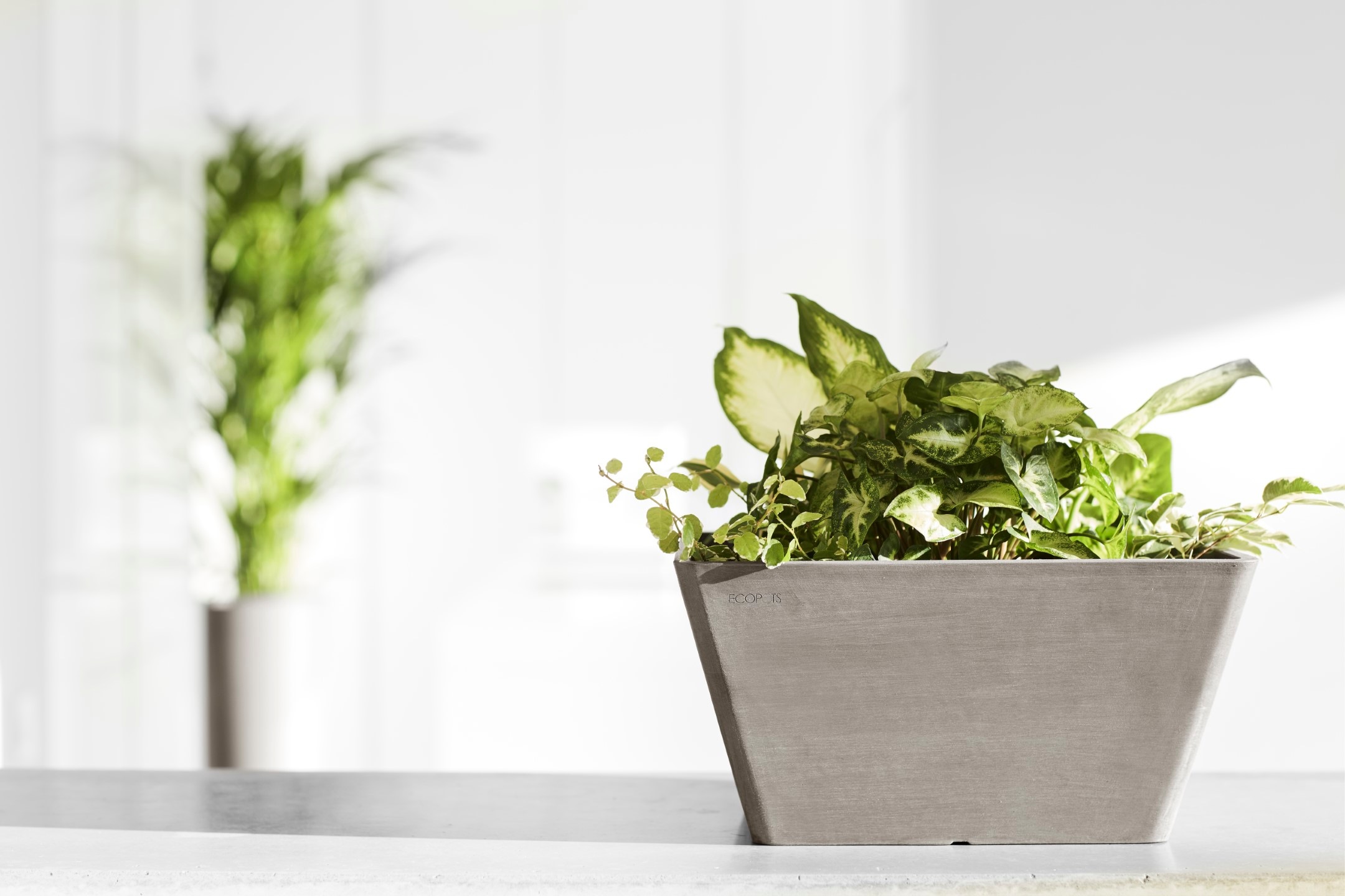 ECOPOTS Blumentopf »BERLIN Taupe«, BxTxH: 31x31x15,5 cm