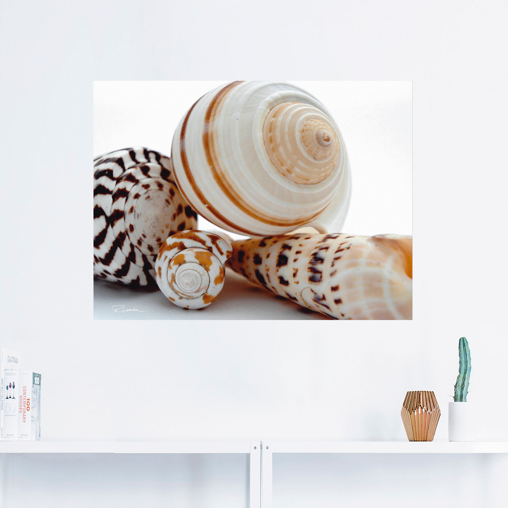 Artland Wandbild »Muschelkomposition III«, Wassertiere, (1 St.), als Alubild, Outdoorbild, Wandaufkleber in verschied. Größen