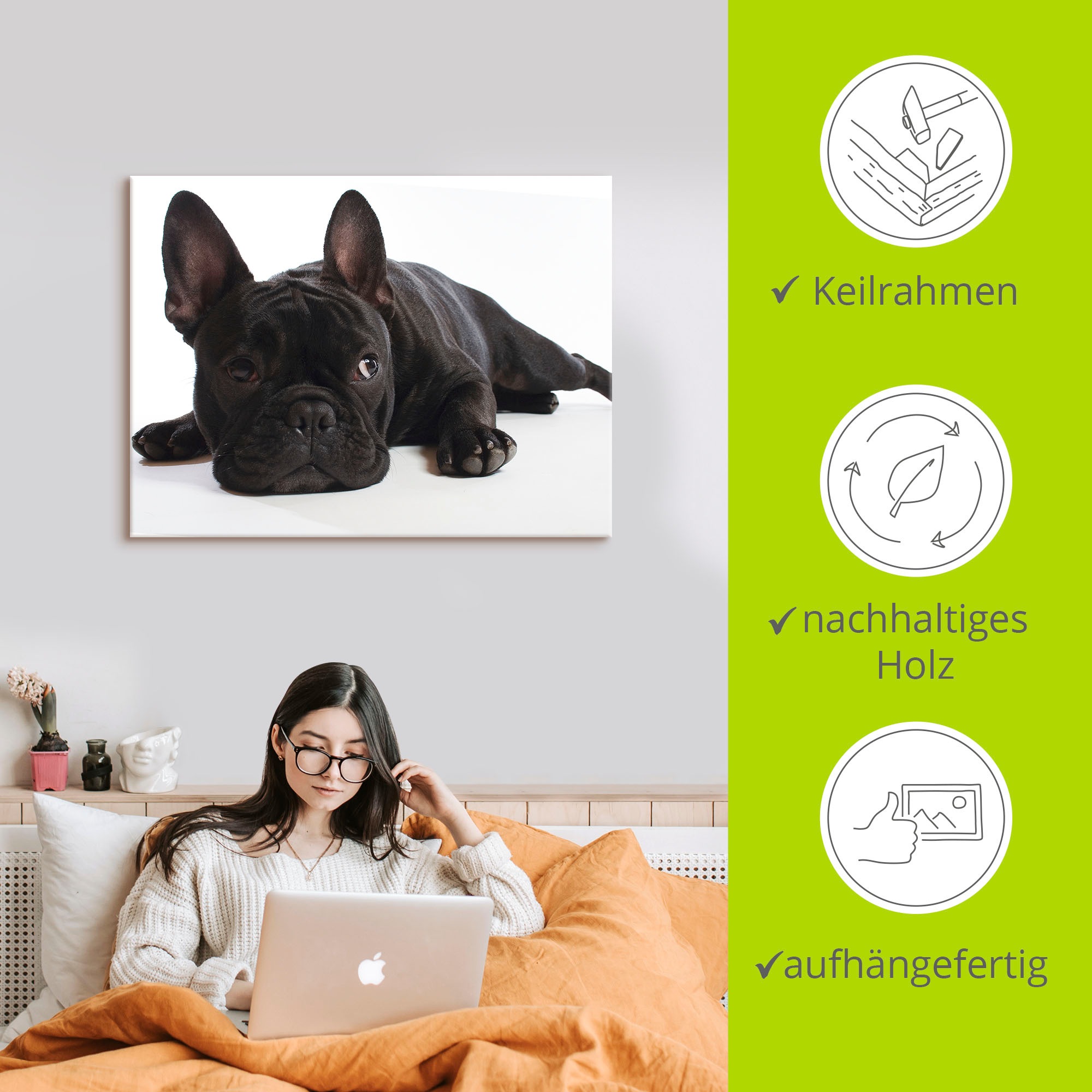 Artland Wandbild »Bulldogge«, Haustiere, (1 St.), als Alubild, Outdoorbild, Leinwandbild, Wandaufkleber, versch. Größen