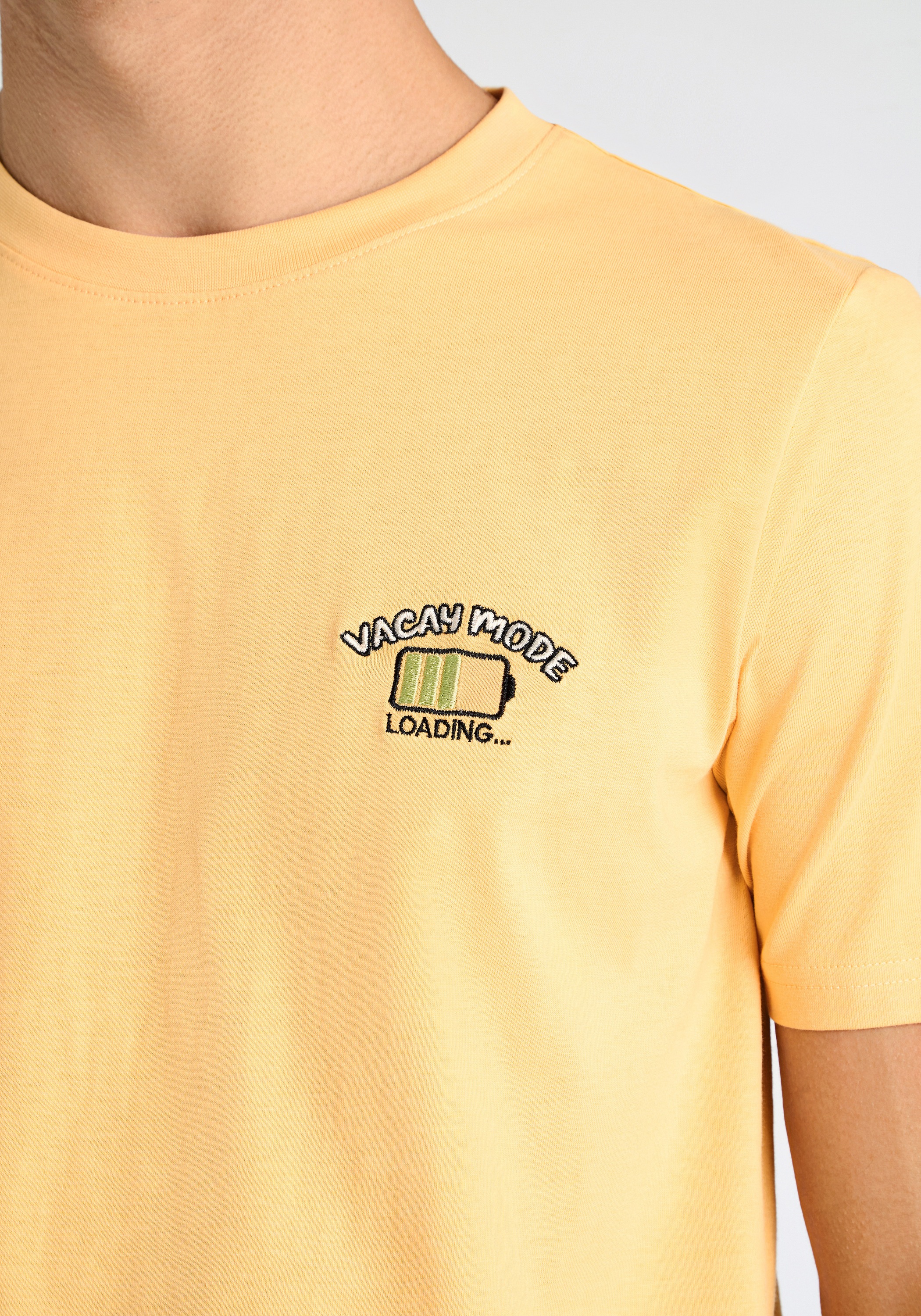 LINDBERGH T-Shirt »Lindbergh T-shirt«