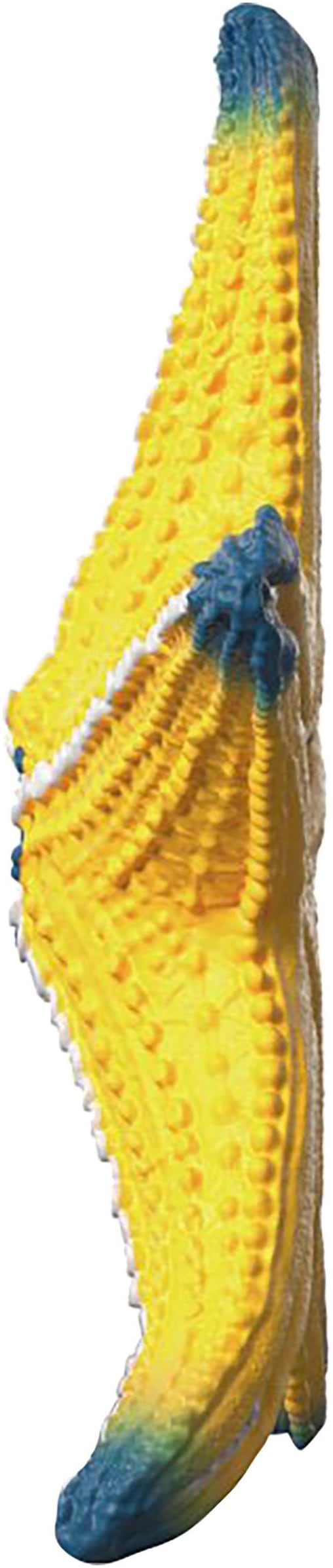 Schleich® Spielfigur »WILD LIFE, Seestern (14902)« mit Farbwechsel