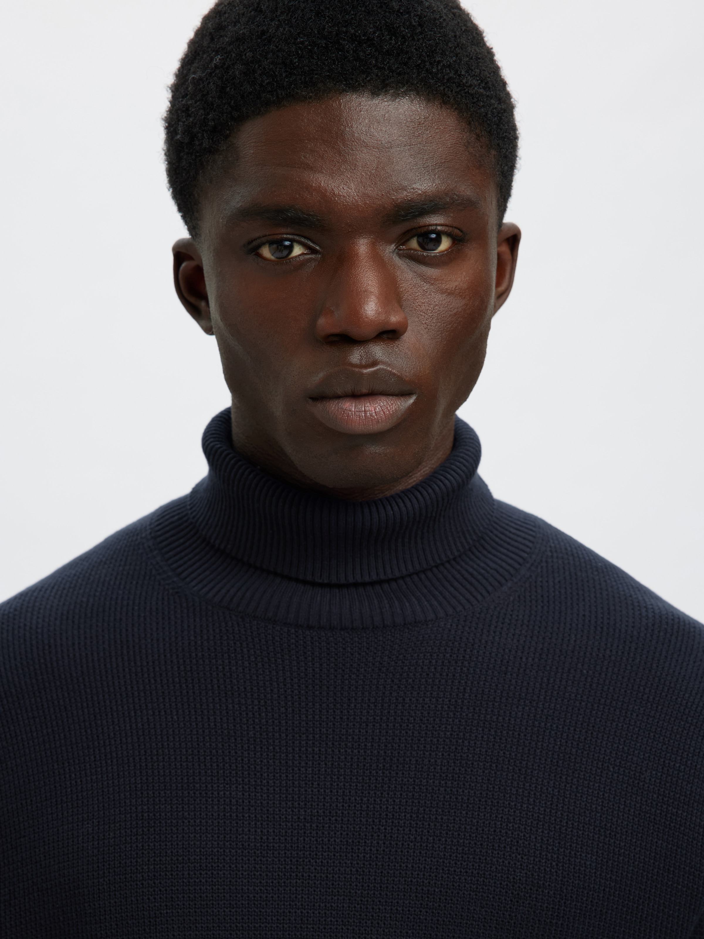 SELECTED Rollkragenpullover »SLHDANE LS KNIT STRUCTURE ROLL NECK NOOS«