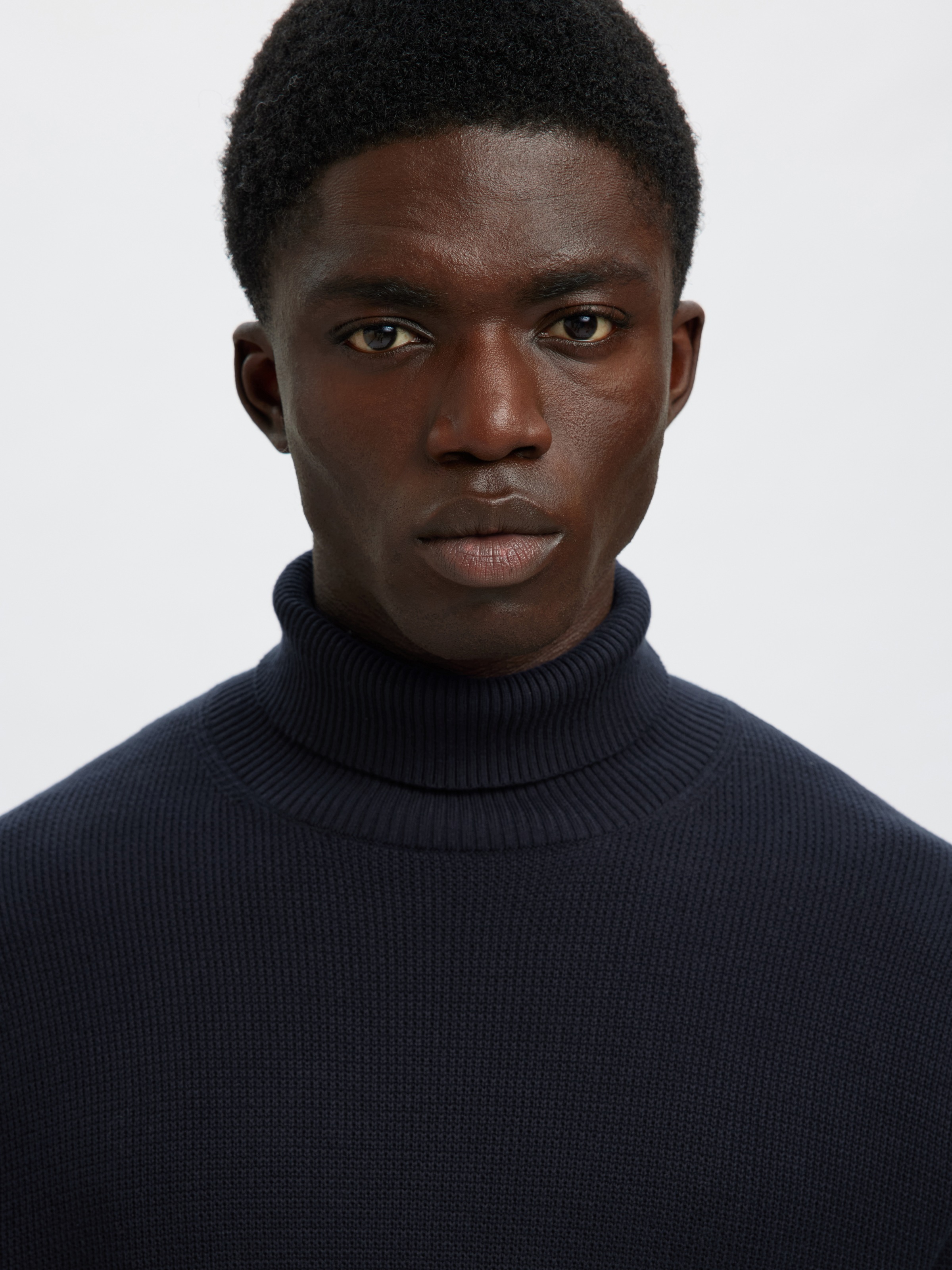 Selected Herren Rollkragen Pullover SLHDANE LS KNIT STRUCTURE ROLL NECK - R günstig online kaufen