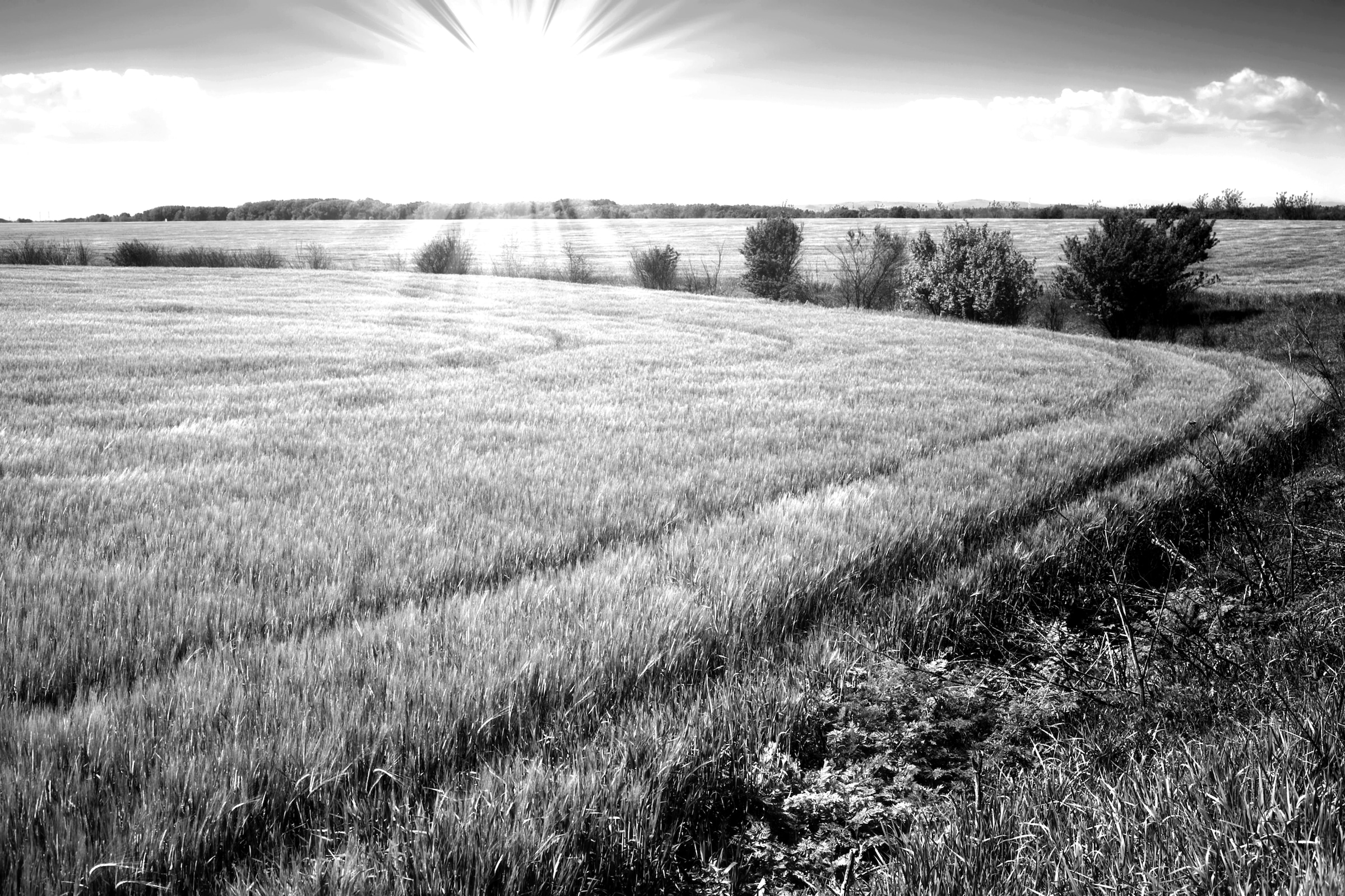 Papermoon "Landschaft schwarz & weiß"
