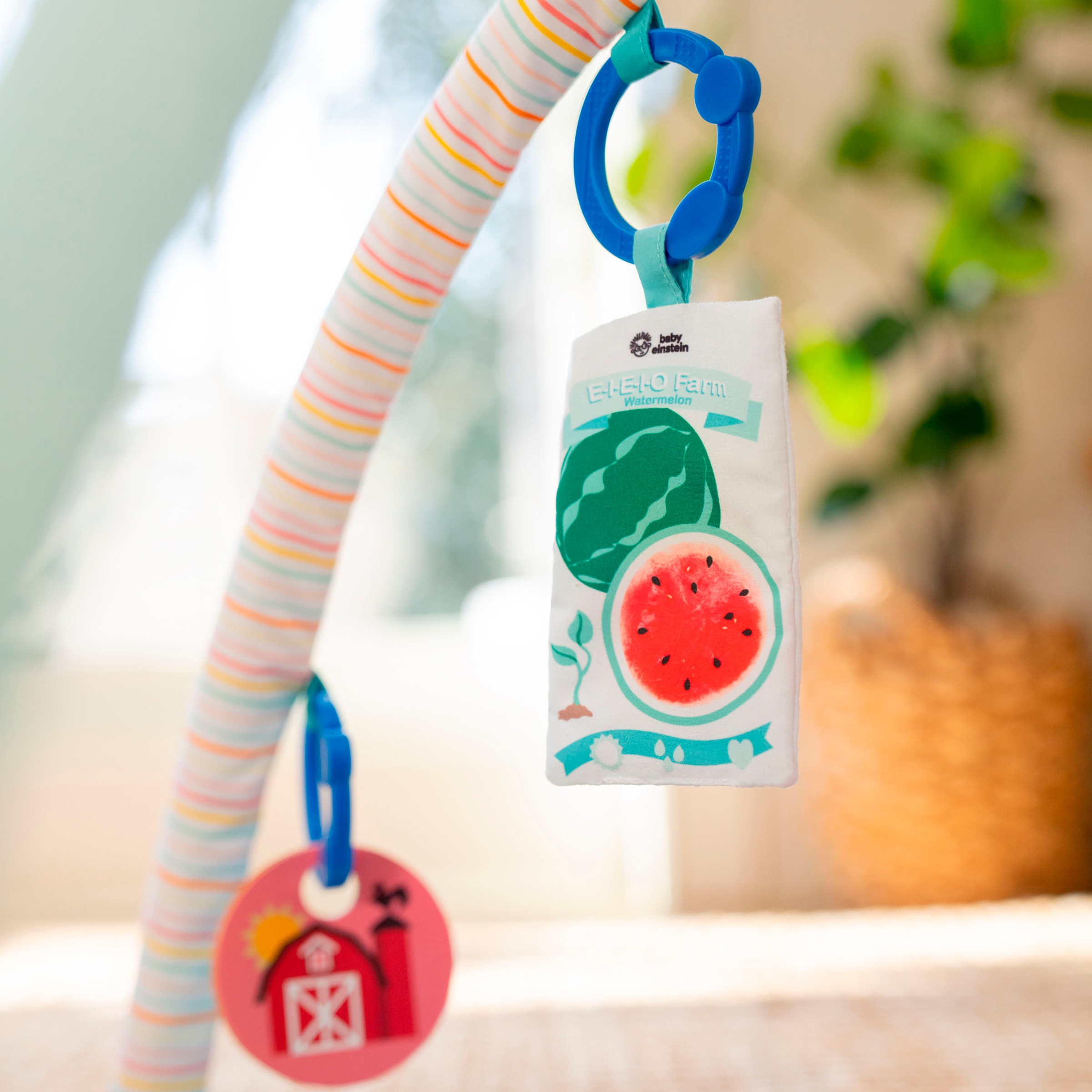 Baby Einstein Spielbogen »Happy Harvest Touch & Feel Activity Gym«, mit Soundeffekt