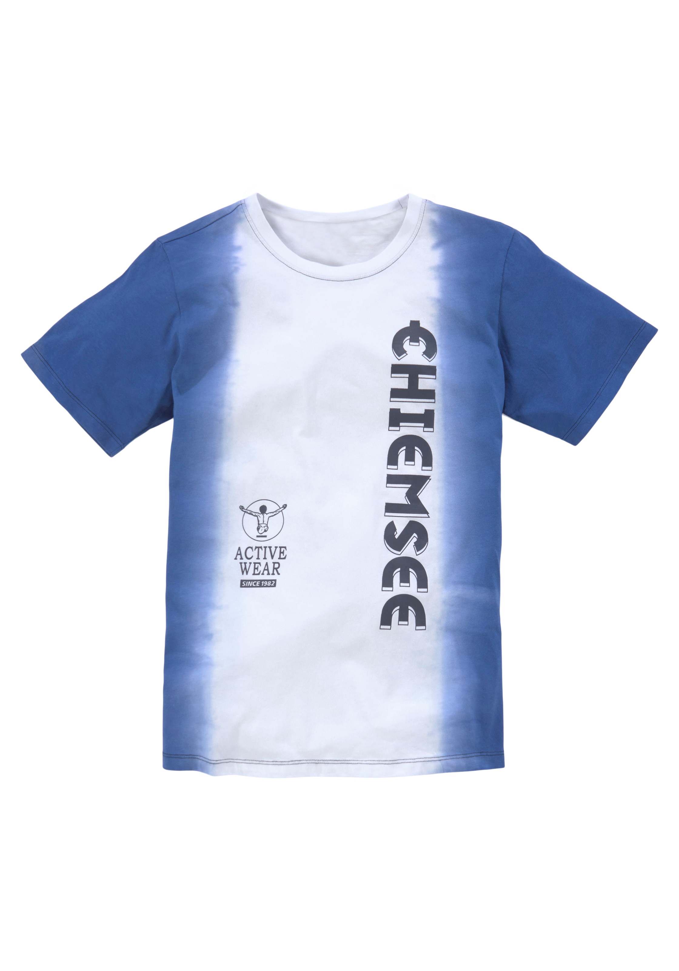 Chiemsee T-Shirt »Dip Dye«, mit coolem Farbverlauf und Logodruck bestellen  | BAUR