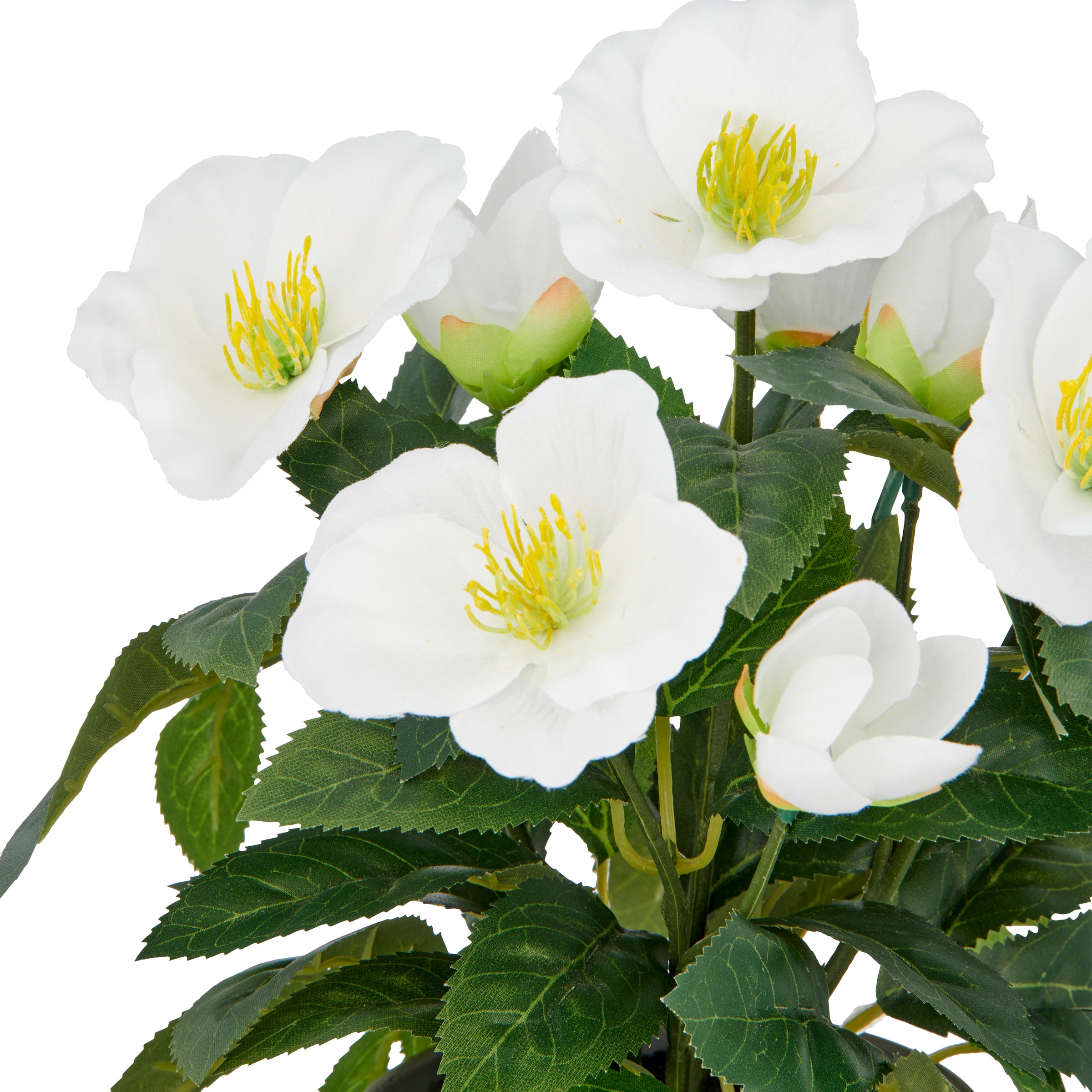 Creativ green Kunstblume »Christrose«