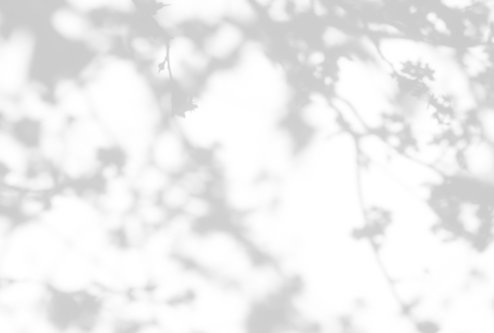 living walls Fototapete "Walls by Patel Light Room" glatt Vlies, Wand günstig online kaufen