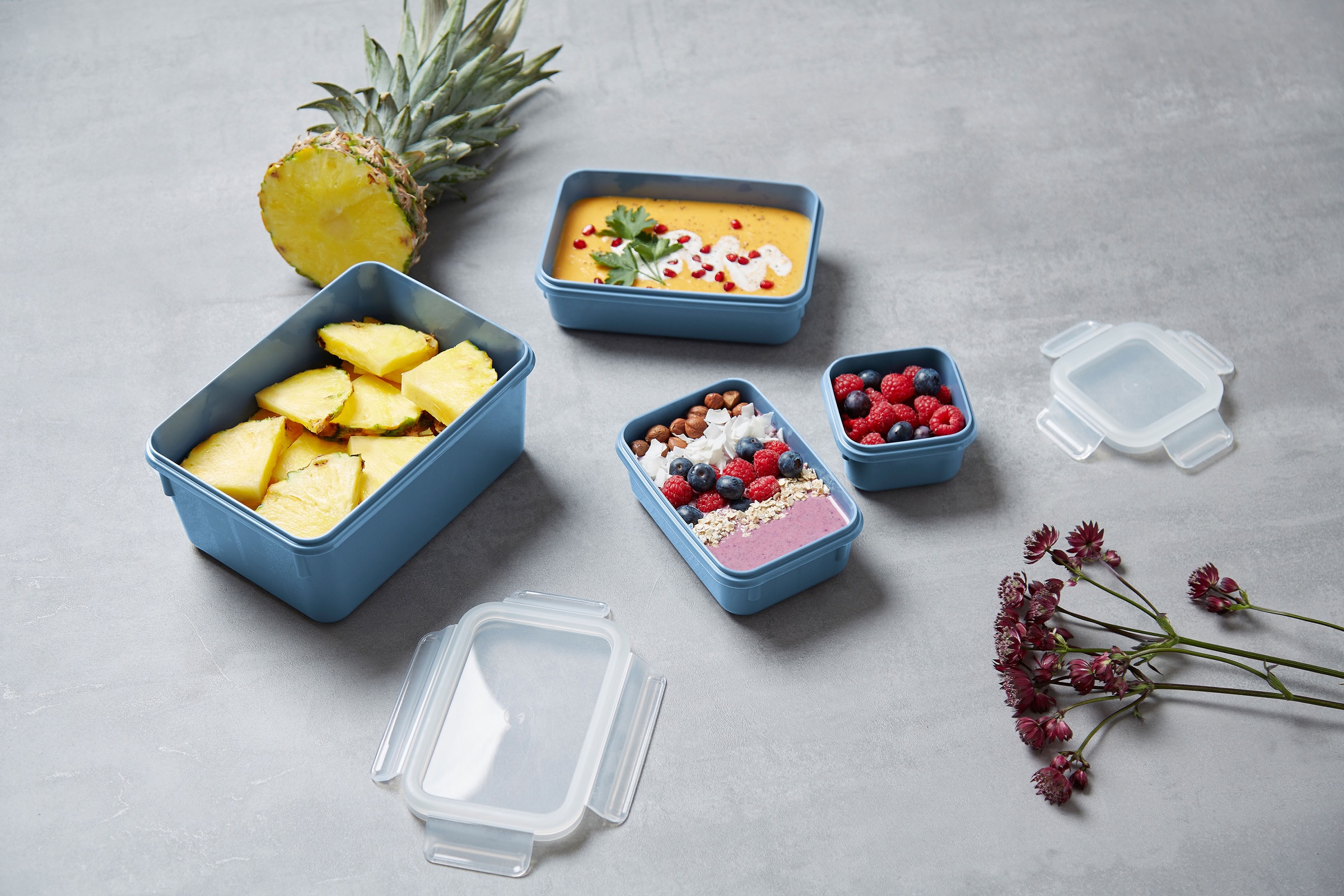 Emsa Frischhaltedose »Clip & Close Color Edition«, (Set, 4 tlg.), 0,2/0,55/0,8/2,2L, Kunststoff, auslaufsicher, hygienisch, innovativ