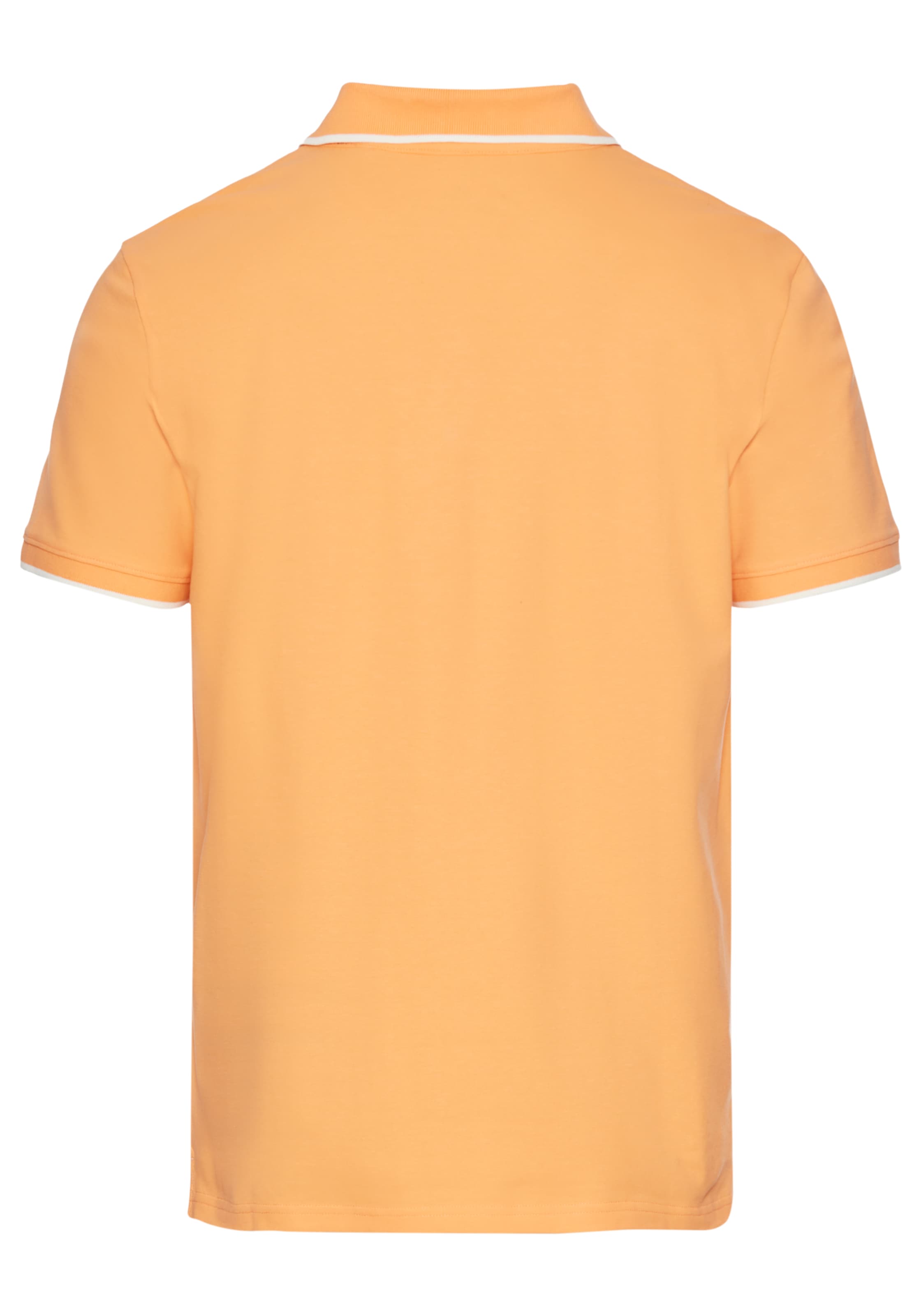 DELMAO Poloshirt, mit sportlichen Kontraststreifen & gestreifter Knopfleistenblende