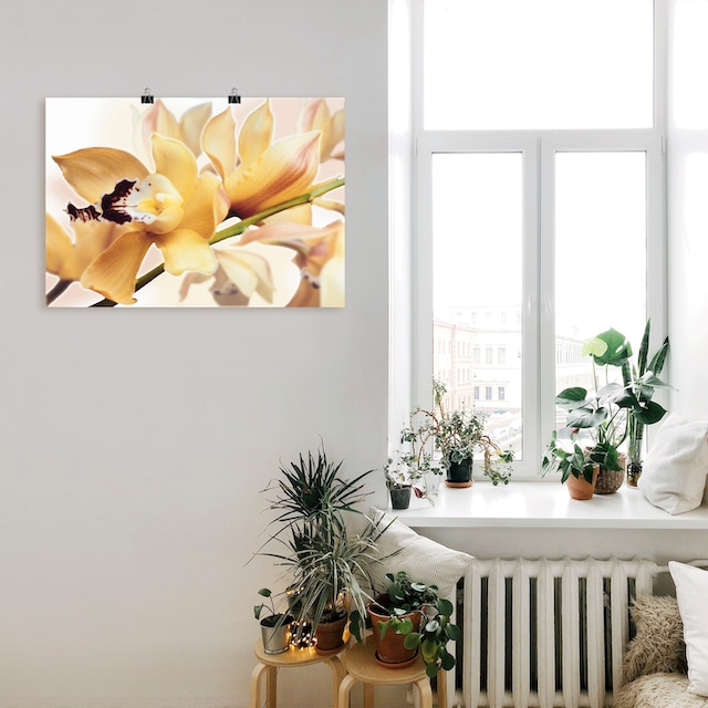 Artland Wandbild »Gelbe Orchidee«, Blumenbilder, (1 St.), als Alubild,  Leinwandbild, Wandaufkleber oder Poster in versch. Größen kaufen | BAUR