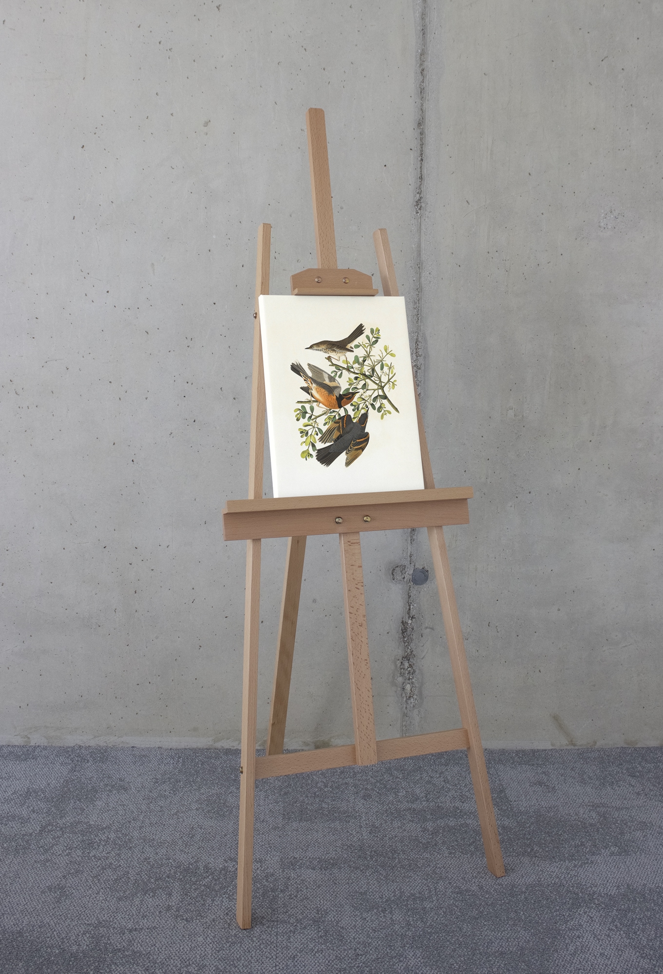 Komar Leinwandbild »Heidi - Größe 30 x 40 cm«, Natur, (1 St.), Keilrahmenbild mi Echtholzrahmen