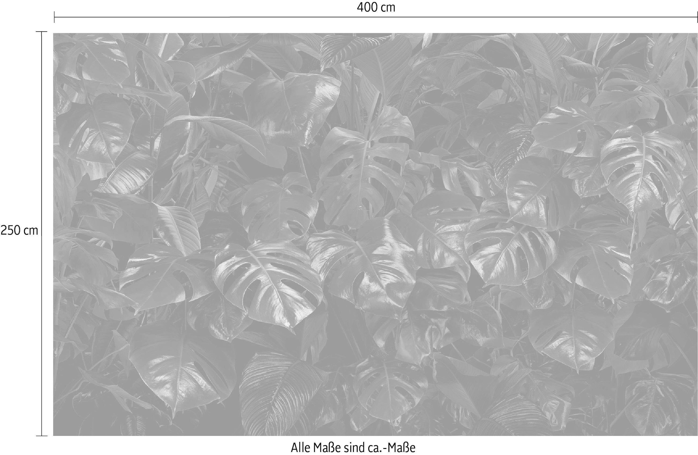 Komar Vliestapete »Digitaldruck Vlies - Tropical Wall - Größe 400 x 250 cm«, bedruckt, Wohnzimmer, Schlafzimmer