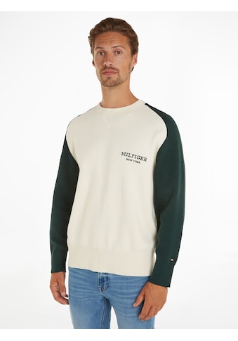 Rundhalspullover »MONOTYPE COLOURBLOCK CREW NECK«