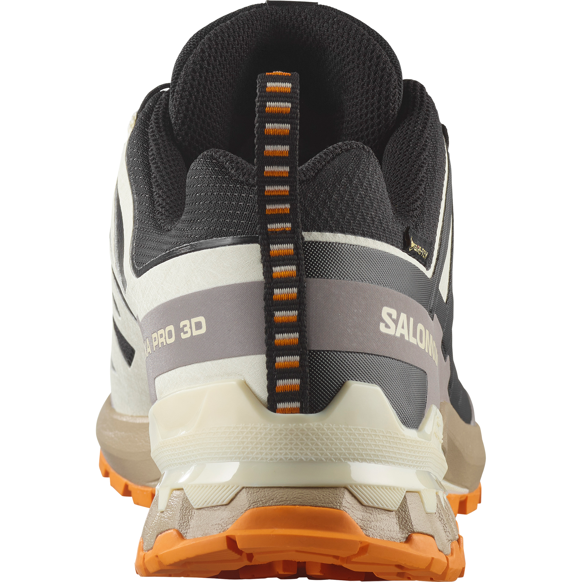 Salomon Laufschuh »XA PRO 3D V9 GORE-TEX«, wasserdicht