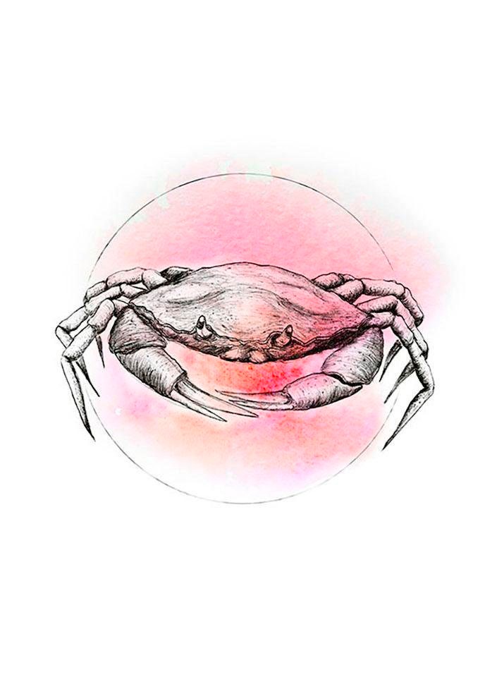 Komar Bild »Crab Watercolor«, Tiere, (1 St.), Wandbild zur Dekoration - ohne Rahmen