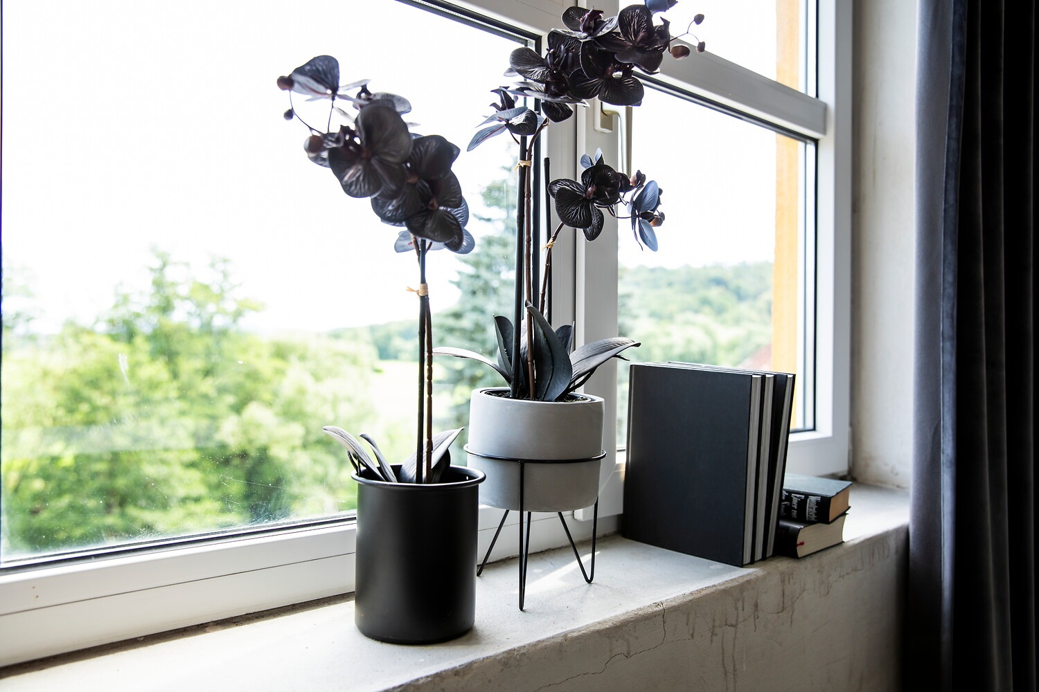 Thumbnail - Bruno Banani Kunstorchidee "Orchidee Phalaenopsis", mit real-touch-Blüten