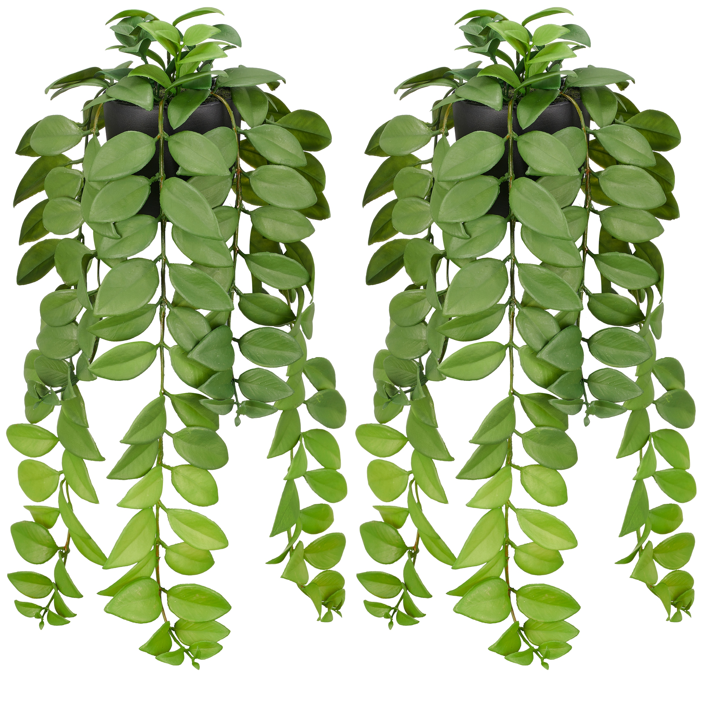 Creativ green Kunstpflanze "Columnea" mit naturgetreu gestaltetem Blattwerk