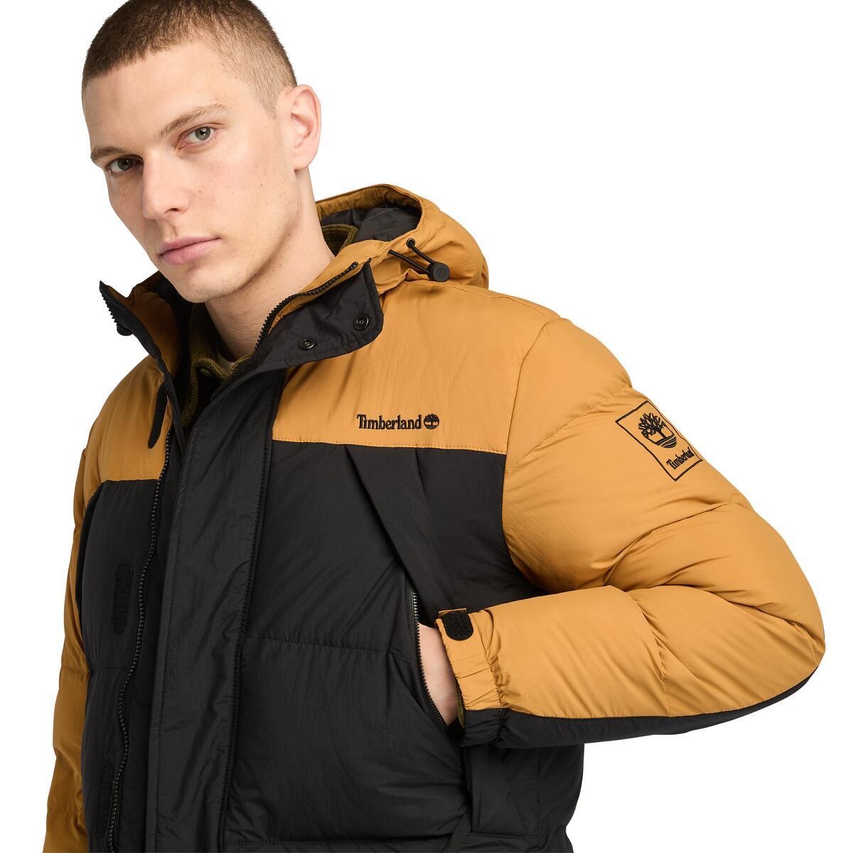 Timberland Steppjacke, mit Kapuze