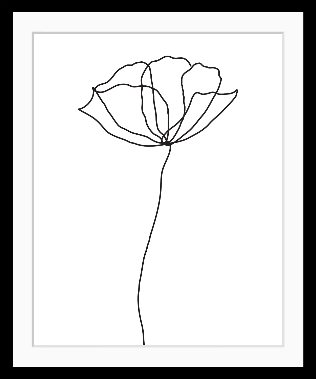 Bild »Susanne«, Blumen, Rose, gerahmt