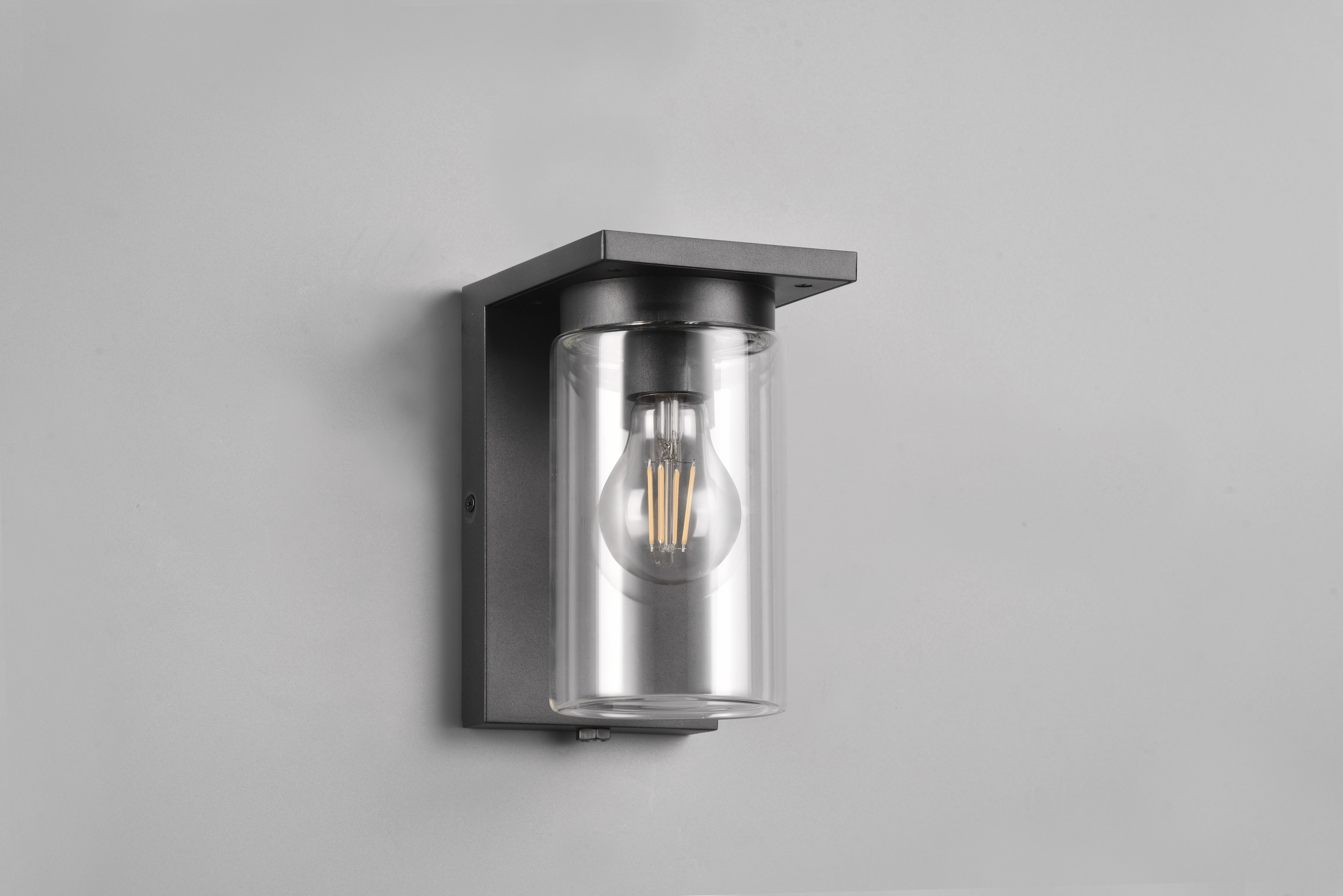 TRIO Leuchten Außen-Wandleuchte »ARDILA, Outdoor Fassadenleuchte mit Glasschirm, Dämmerungssensor«, 1 flammig, Leuchtmittel E27 | Leuchtmittel wechselbar, exkl 1x E27 max 40W, IP44, Wandlampe für Hauswand Garten Terrasse
