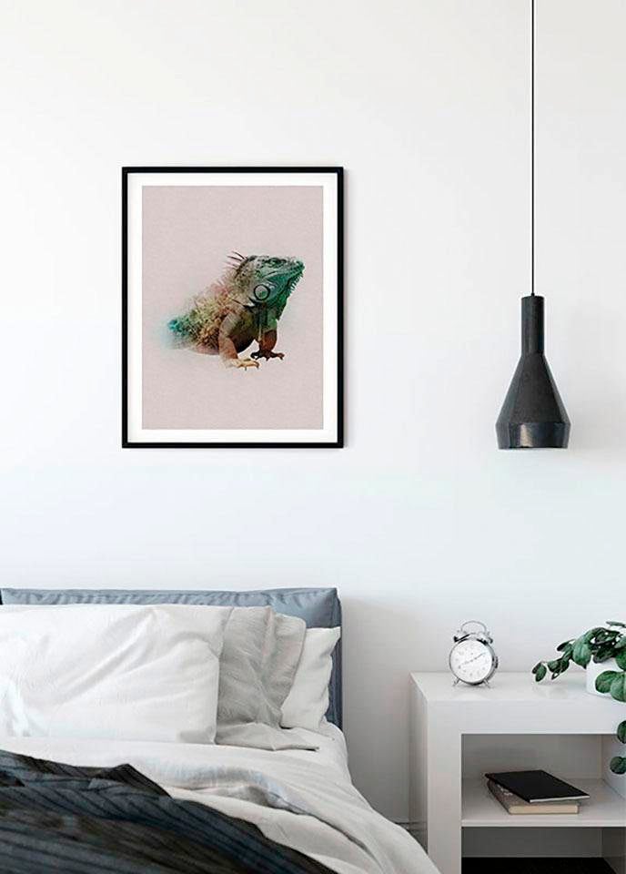 Komar Poster Wohnzimmer BAUR Paradise Schlafzimmer, »Animals Tiere, (1 St.), | Kinderzimmer, Iguana«