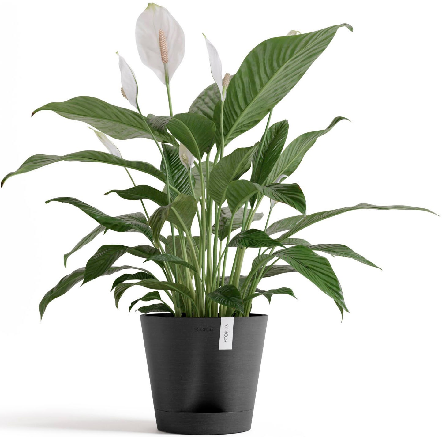 ECOPOTS Blumentopf »Venice 2 20 Dunkelgrau« für den Innenbereich