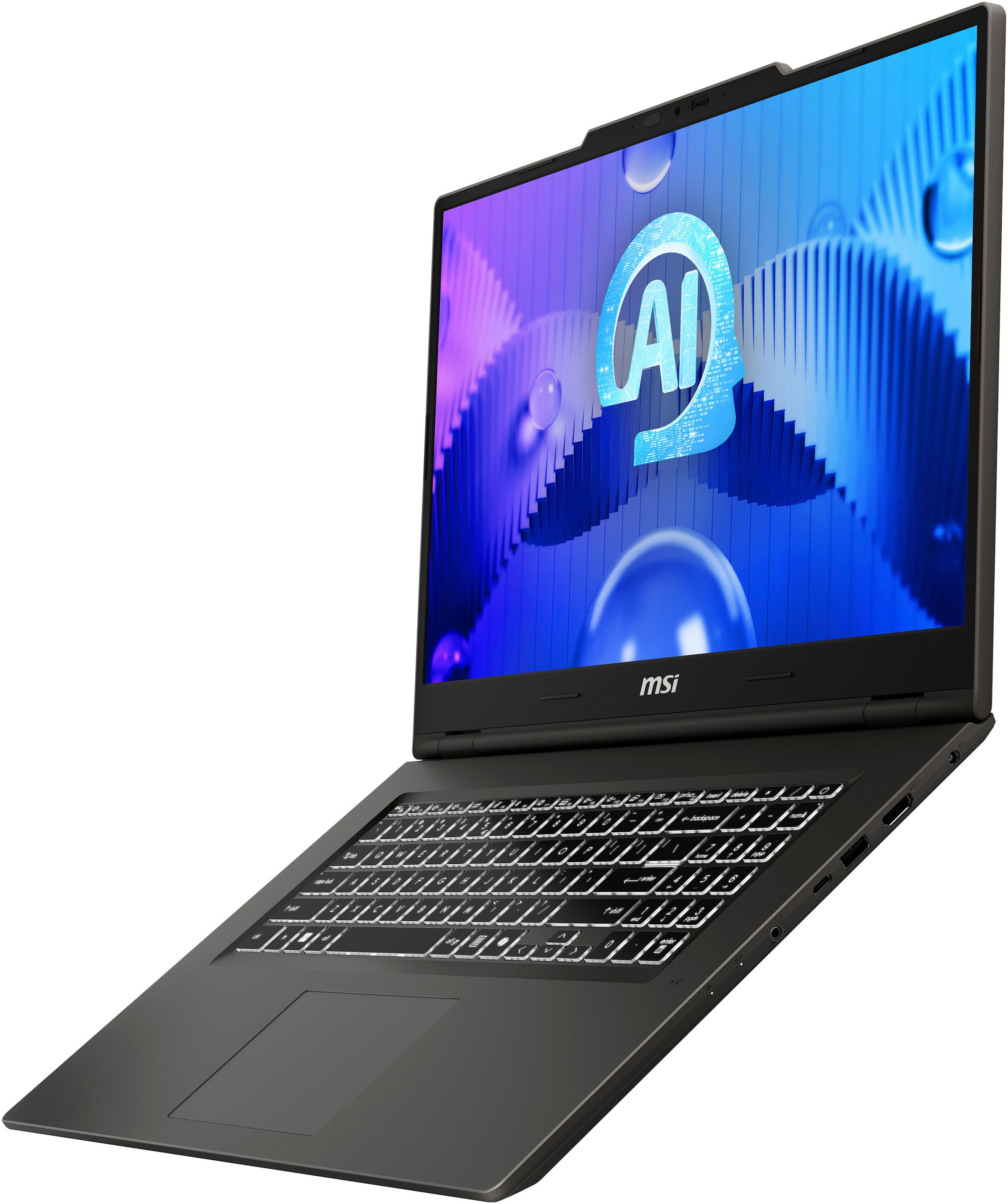 MSI Notebook »Venture Pro 17 AI A1UDXG-017« 43,9 cm / 17,3 ″ Intel Core Ultra 5 GeForce RTX 3050 1.000 GB SSD