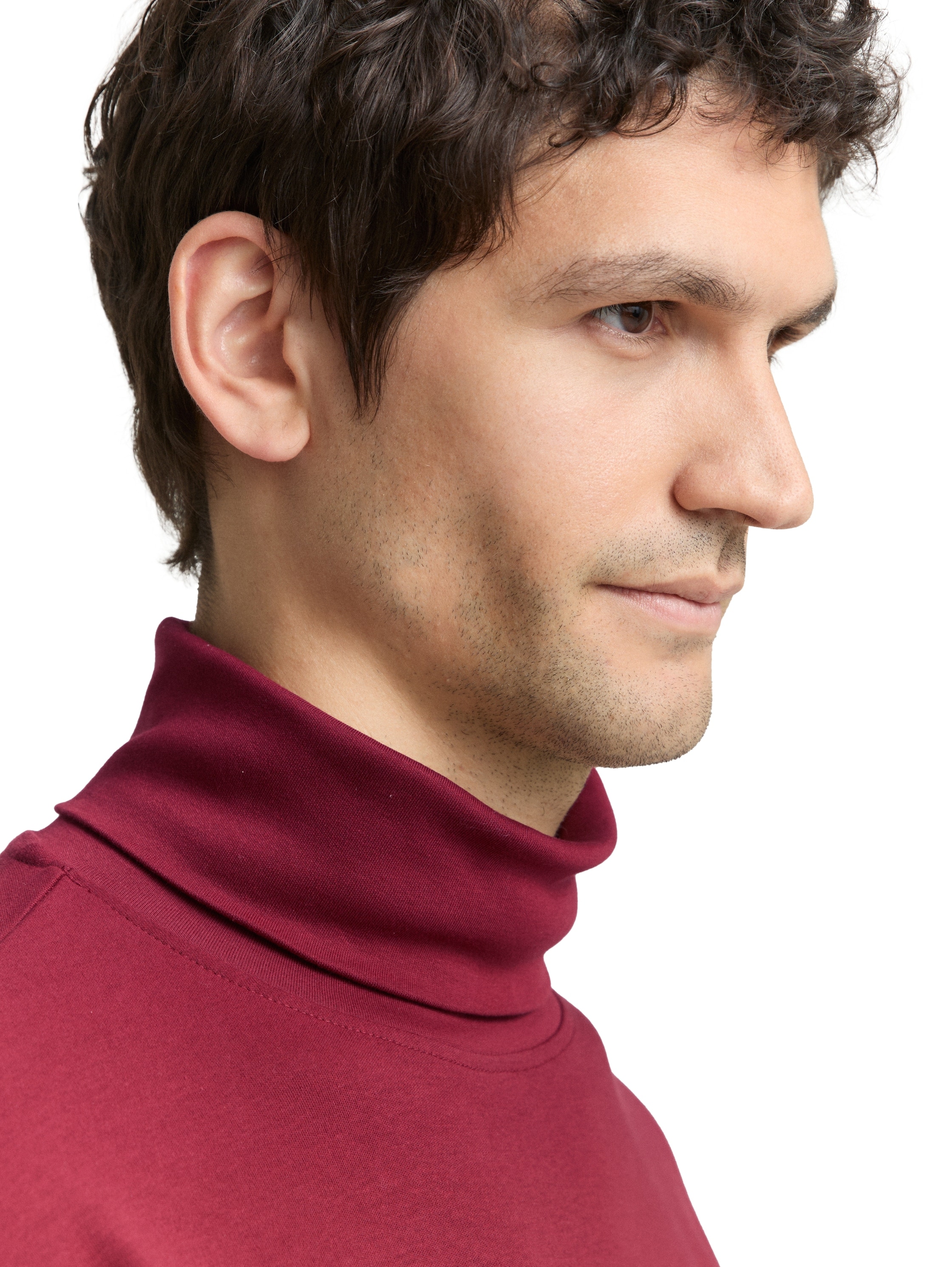 TOM TAILOR Langarmshirt mit Rollkragen