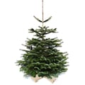 Weihnachtsbaumland Echter Weihnachtsbaum »Nordmanntanne auf Holzkreuz montiert«, Nordmanntanne, Höhe ca. 100 bis 120 cm