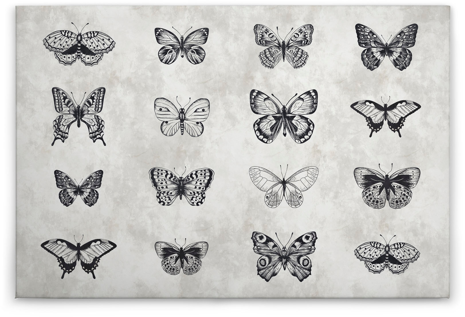 A.S. Création Leinwandbild »sketchpad 3«, Kunst-Gemälde-Kinder, (1 St.), Schwarz-Weiß Zeichnung Schmetterling Keilrahmen Leinwand-Bild Kinder