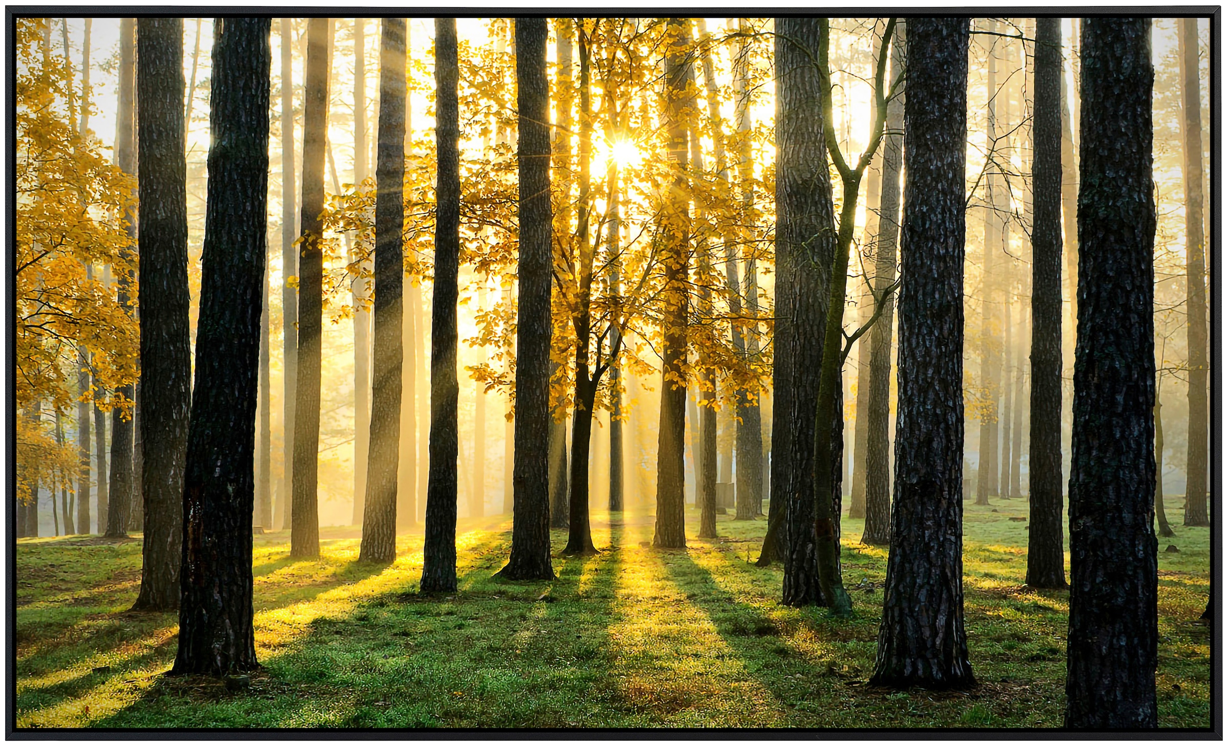 Papermoon Infrarotheizung »Sonniger Wald«, sehr angenehme Strahlungswärme
