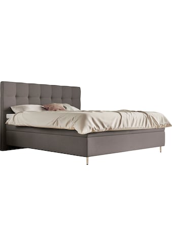 Boxspringbett »Aida«, inklusive GELTEX® Next Topper, Metallfuß chrome, niedriges Kopfteil