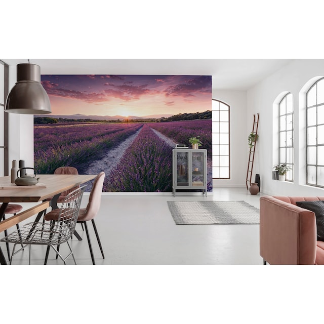 Komar Vliestapete »Lavender Dream«, 450x280 cm (Breite x Höhe), Wohnzimmer,  Schlafzimmer auf Raten | BAUR