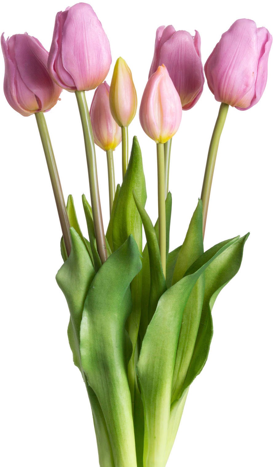 OTTO home Kunstpflanze "Maiva" Tulpenbündel im 7er-Set