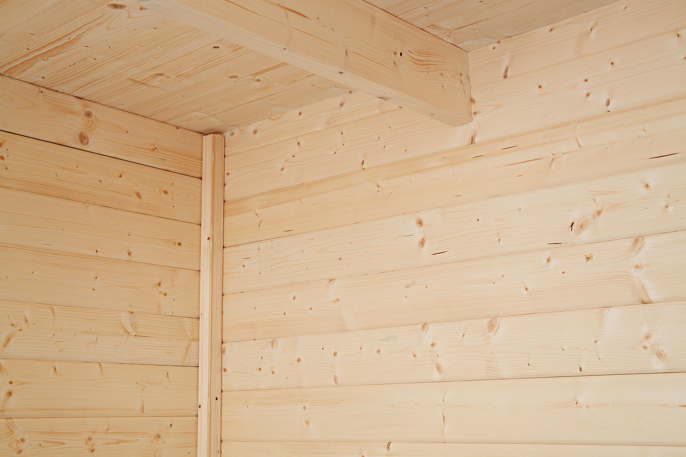 Wolff Gartenhaus »Relax Lounge B«
