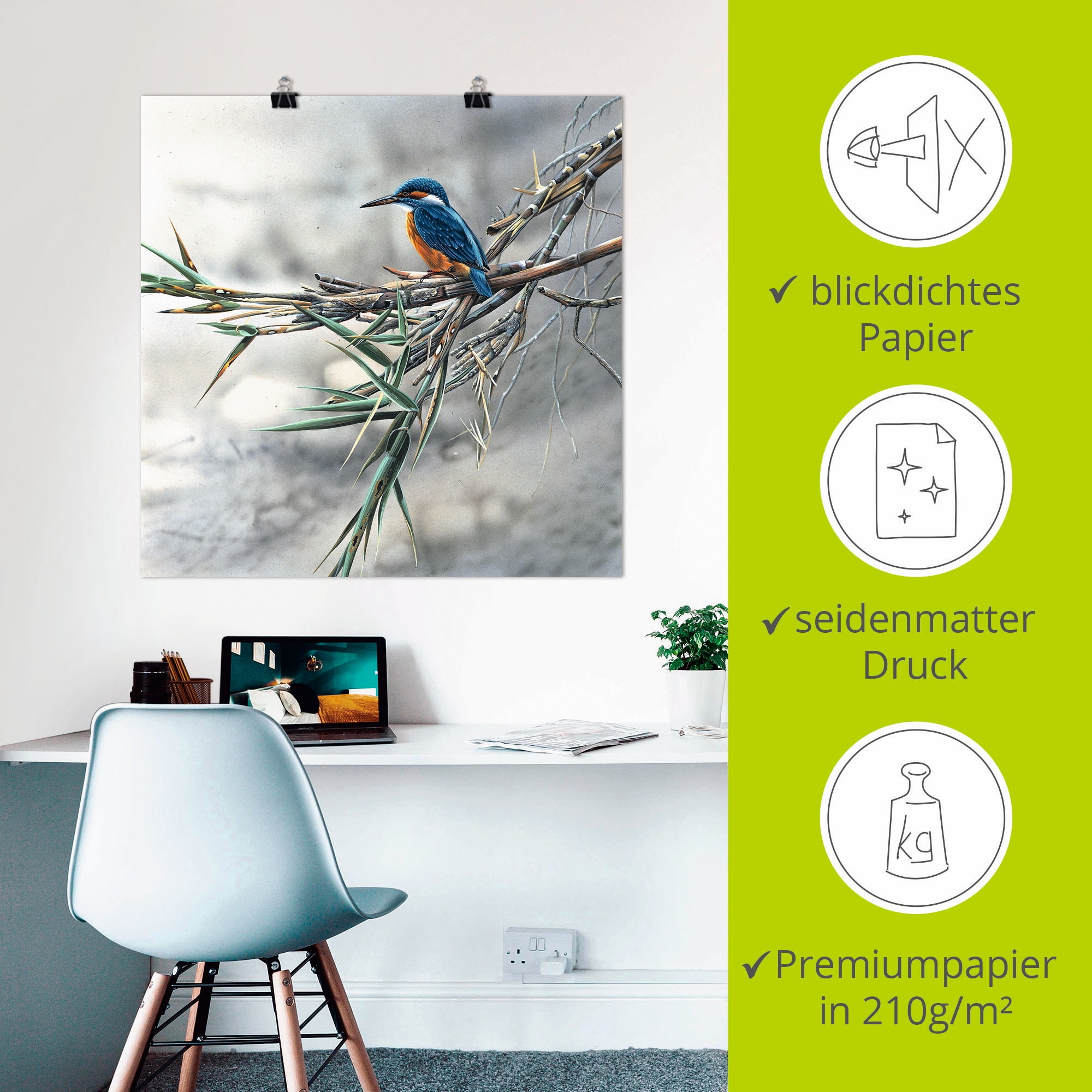 Artland Wandbild »Eisvogel I«, Vögel, (1 St.), als Leinwandbild, Poster, Wandaufkleber in verschied. Größen