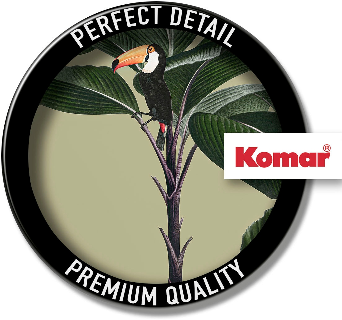 Komar Wandbild »Botanical Garden Palmtree«, (1 St.), Deutsches Premium-Poster Fotopapier mit seidenmatter Oberfläche und hoher Lichtbeständigkeit. Für fotorealistische Drucke mit gestochen scharfen Details und hervorragender Farbbrillanz.