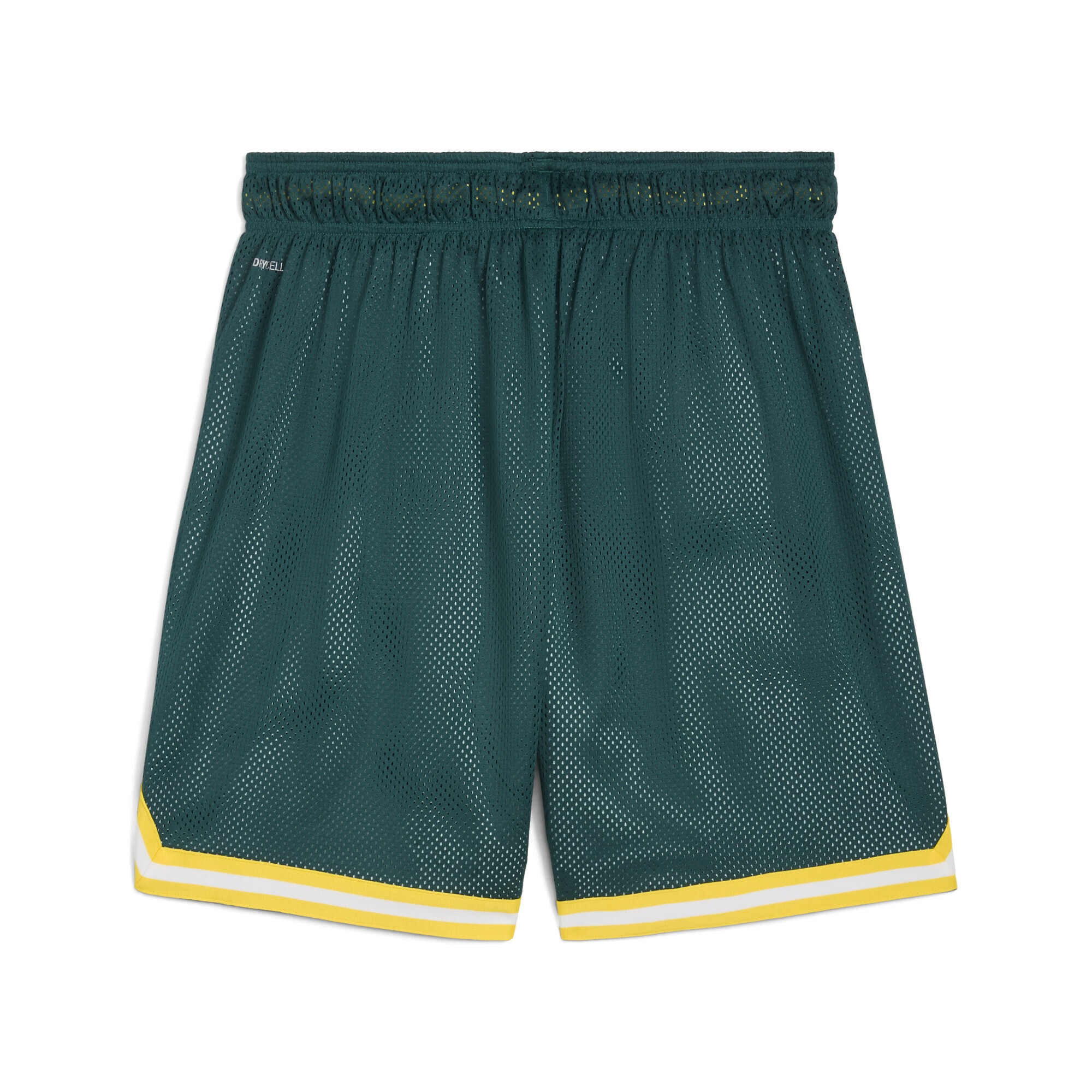 PUMA Shorts »PUMA HOOPS x SE PALMEIRAS Basketballshorts Herren«