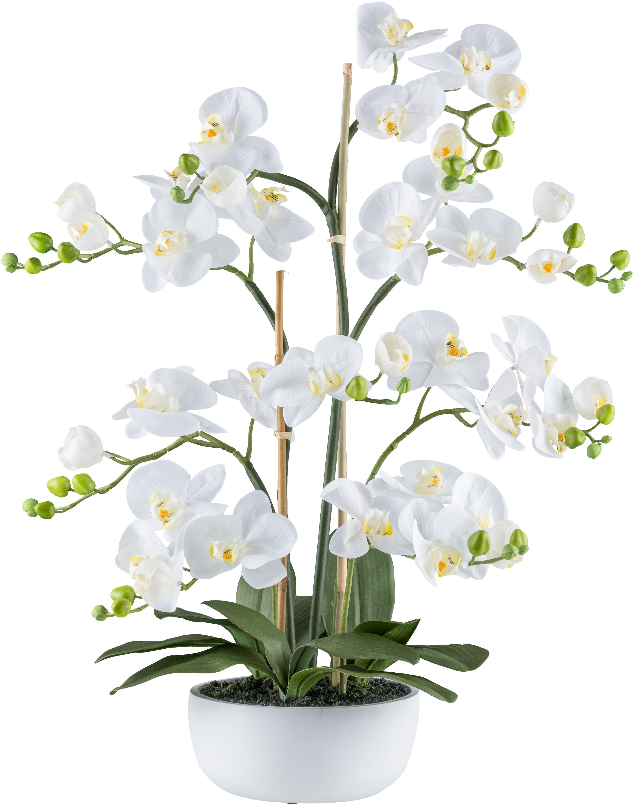 Creativ green Kunstorchidee "Orchidee Phalaenopsis", mit zahlreichen real-touch-Blüten